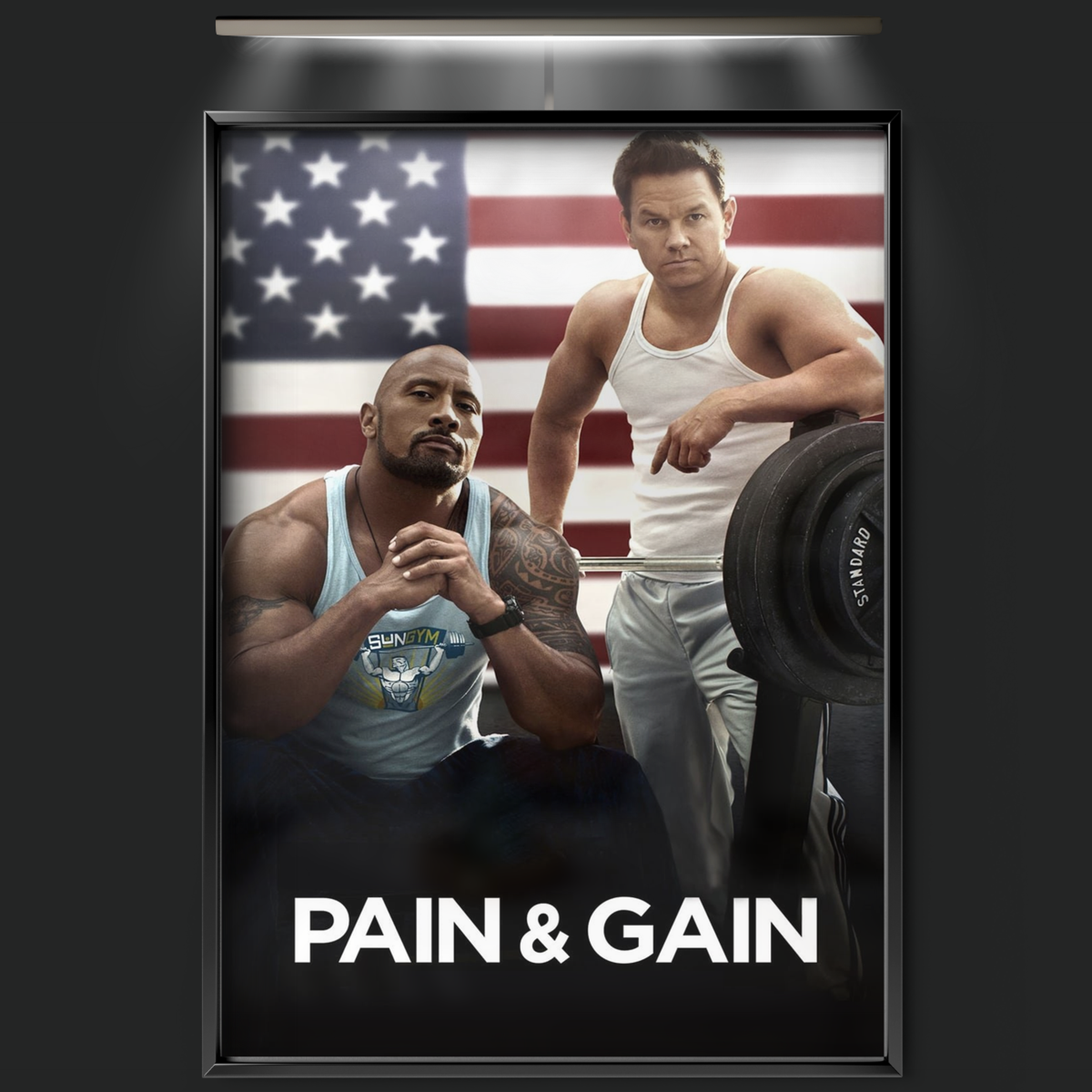 Pain & Gain (2013)