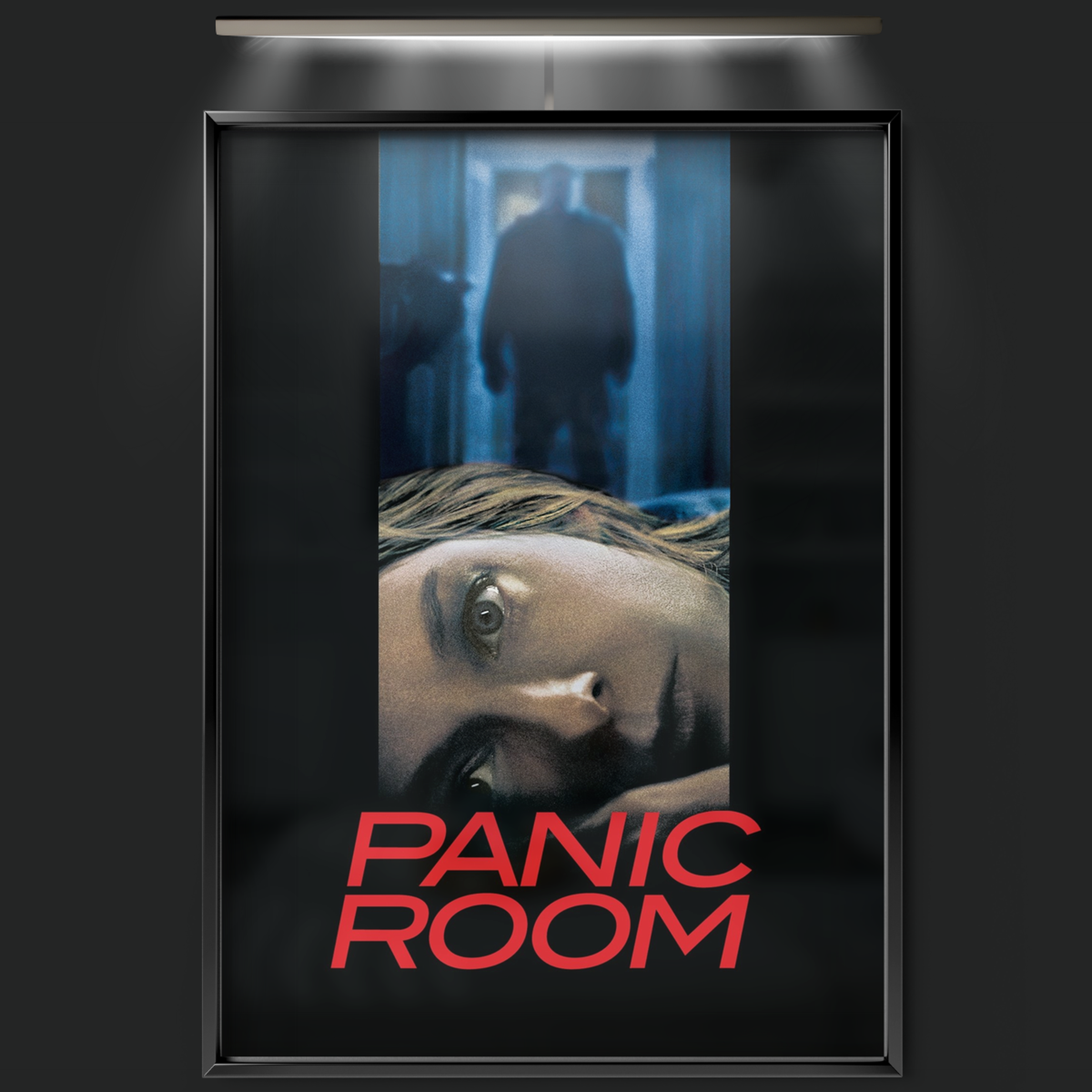 Panic Room (2002)