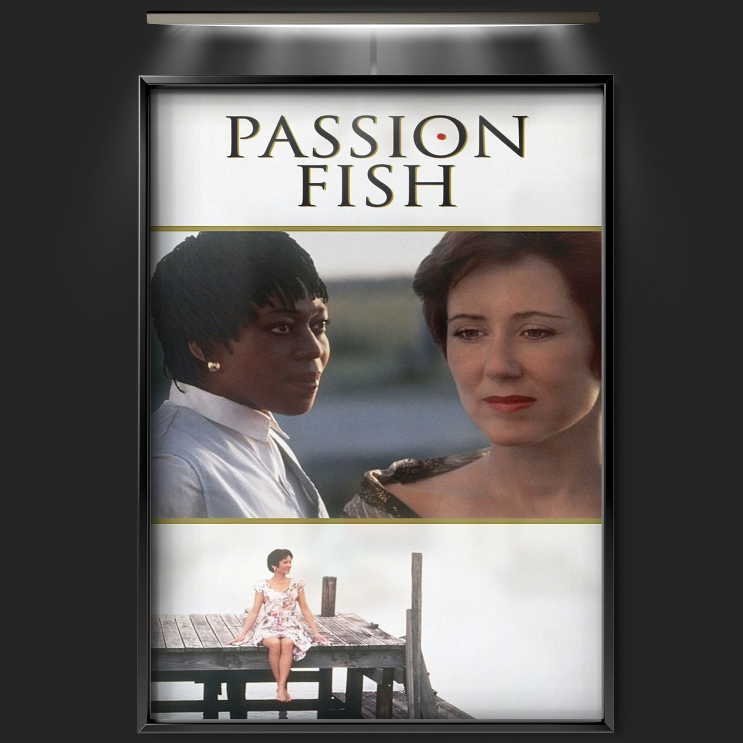Passion Fish (1992)