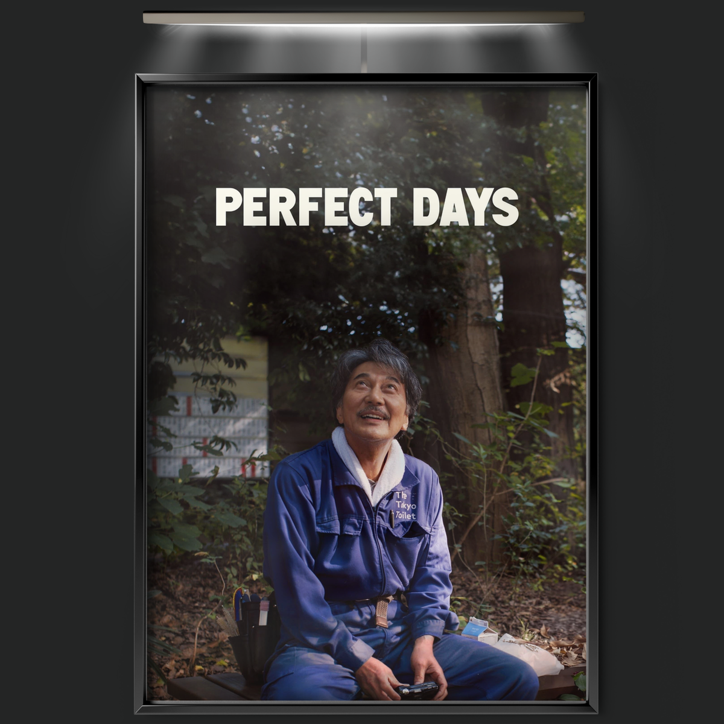 Perfect Days (2023)