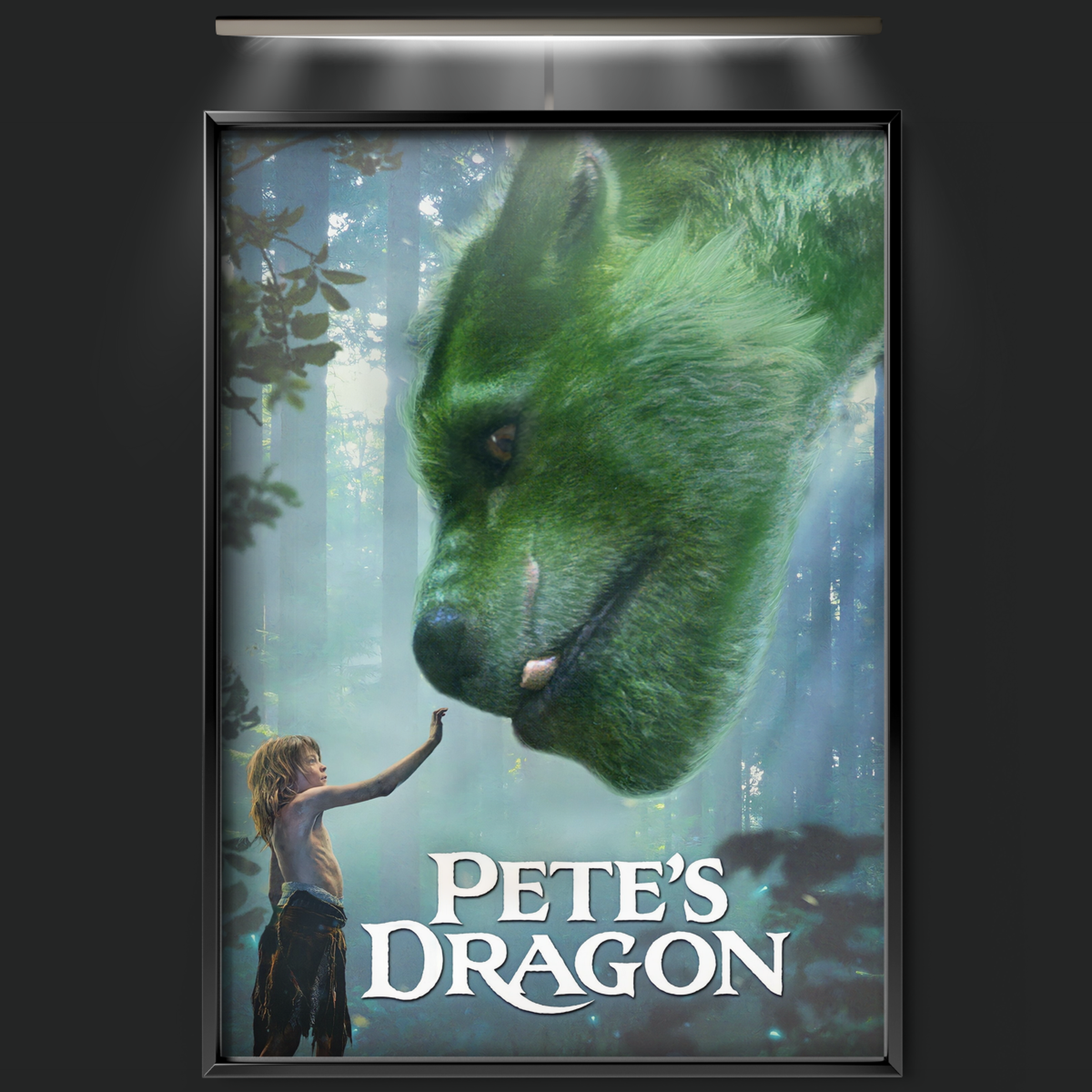 Pete's Dragon (2016)
