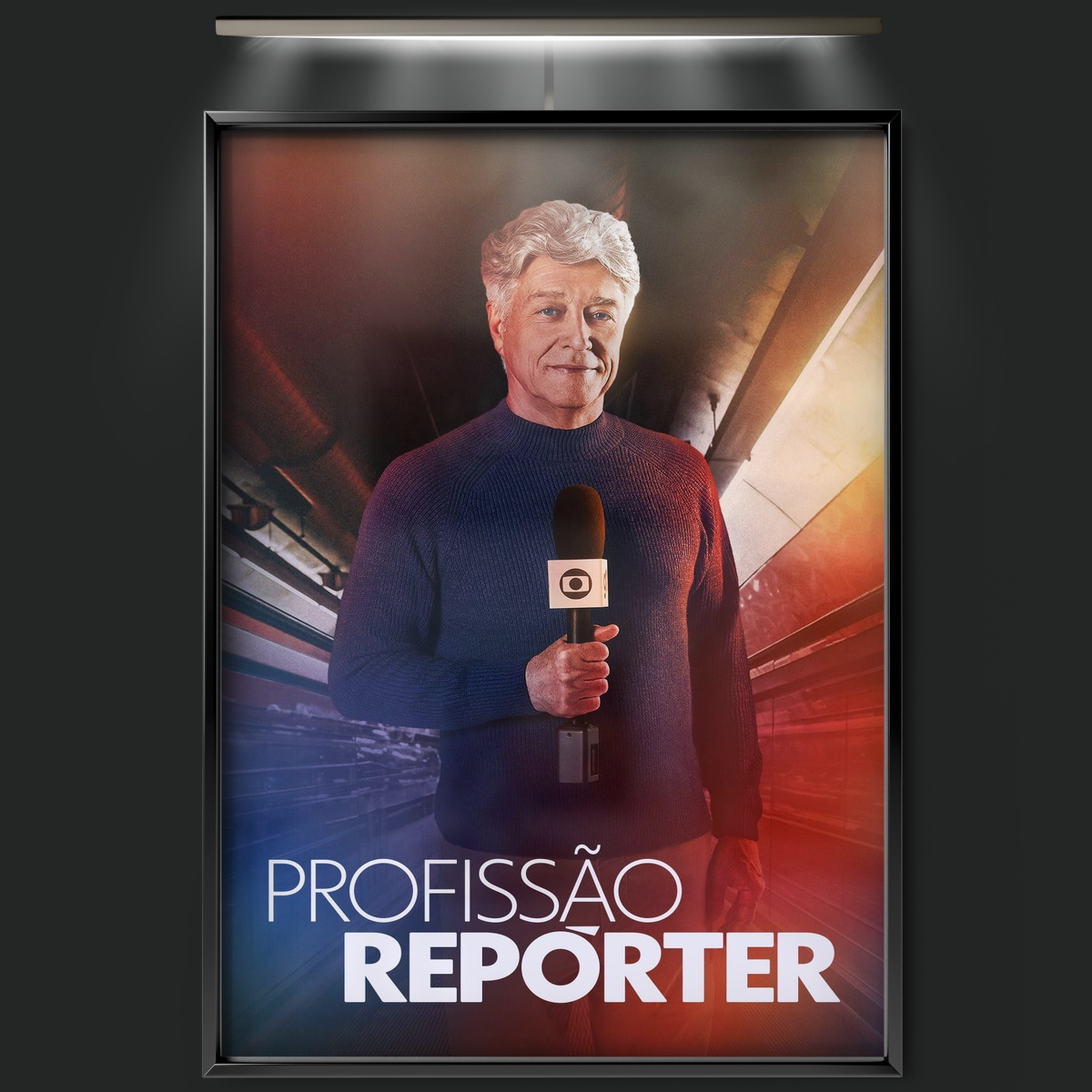 Profissão Repórter (2008)