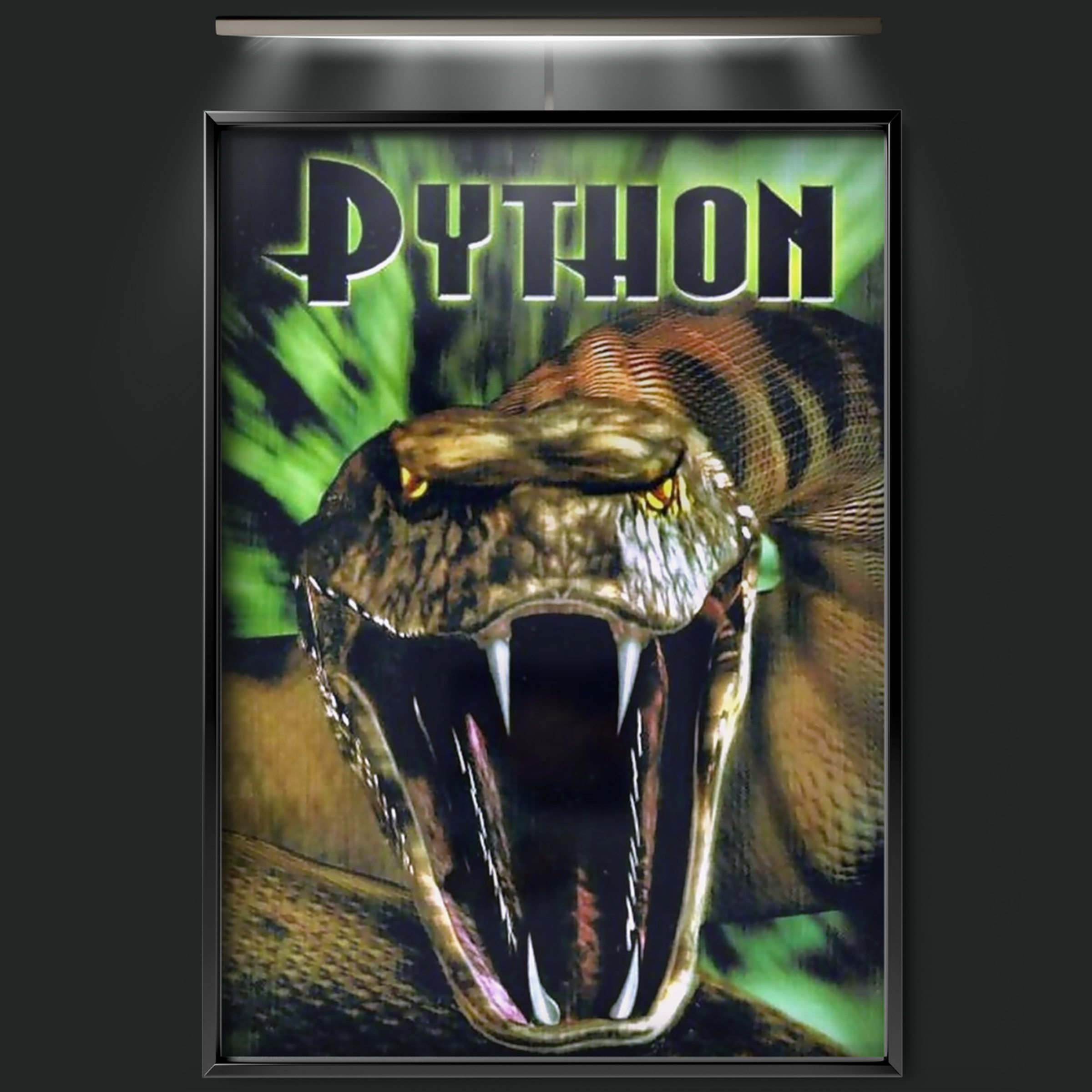 Python (2000)