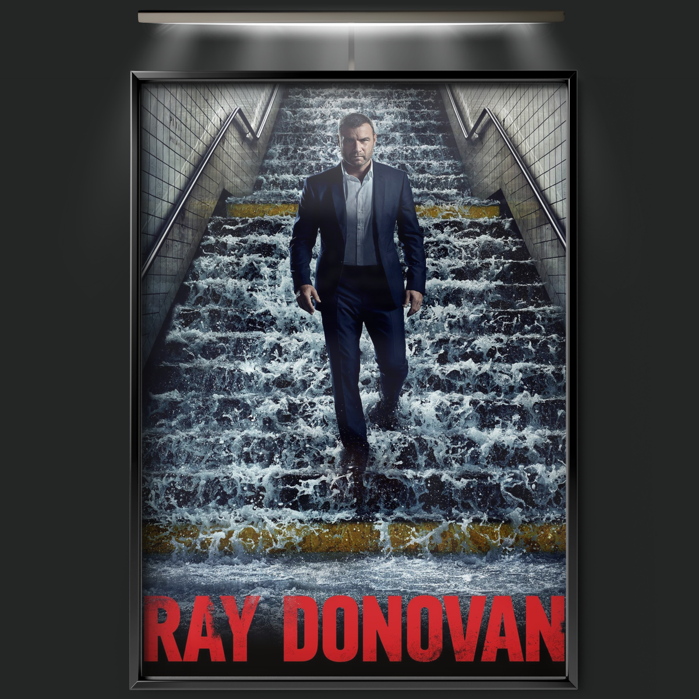 Ray Donovan (2013)
