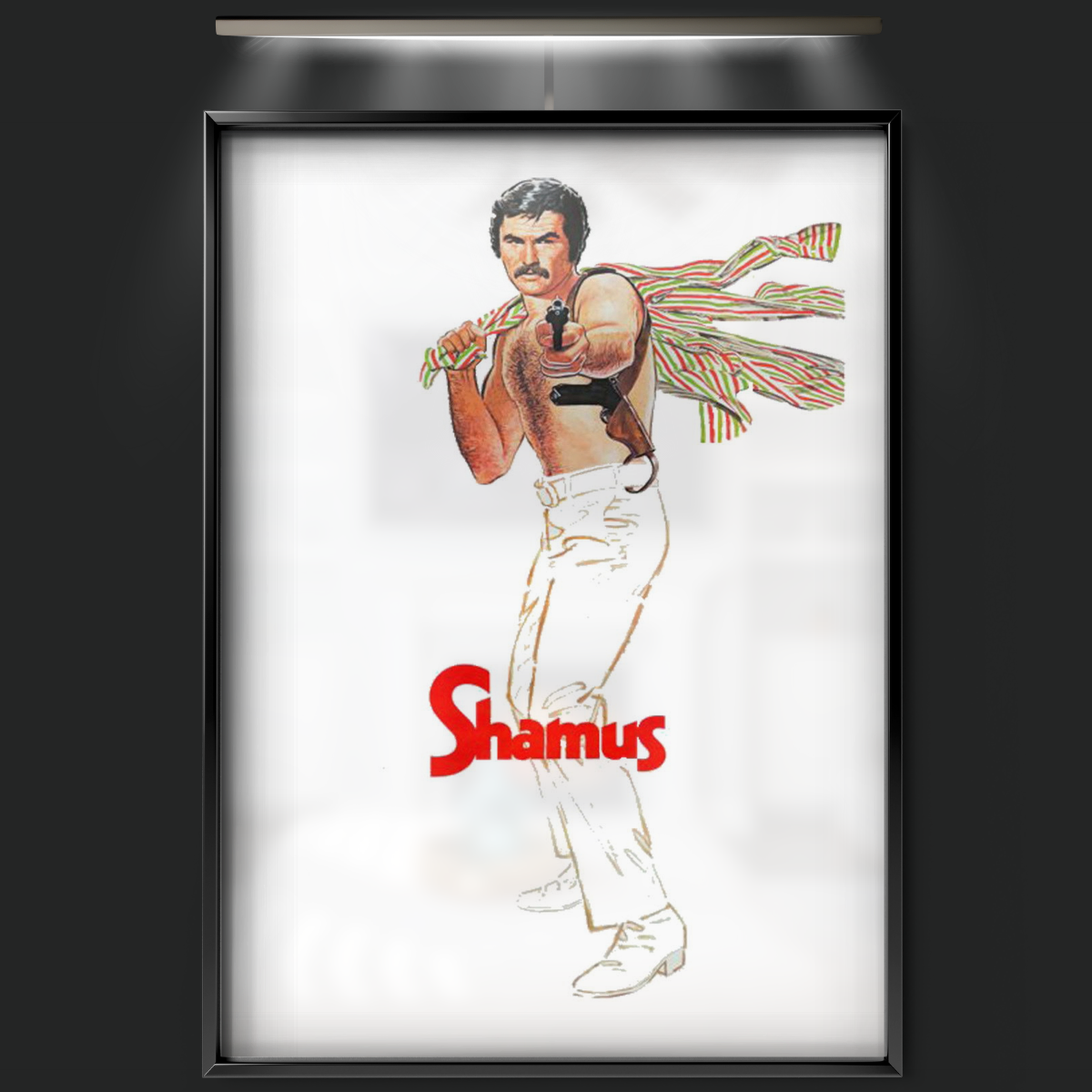 Shamus (1973)