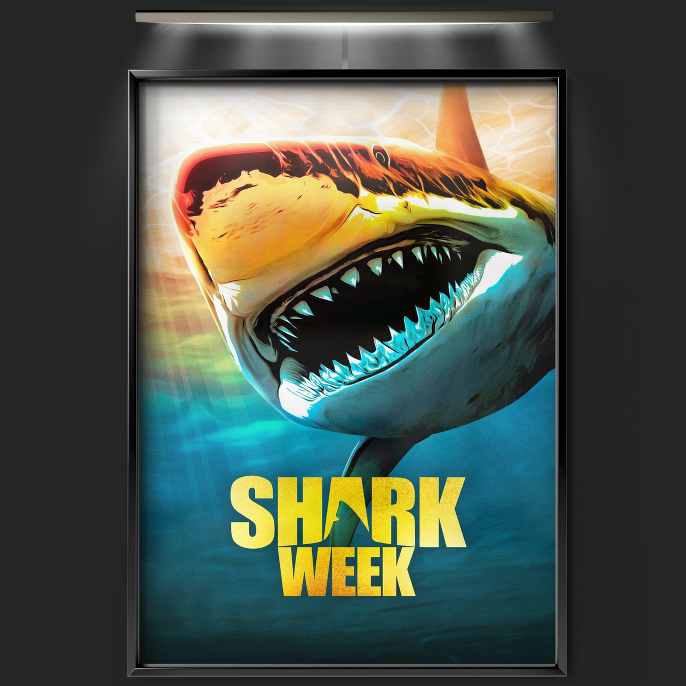 Shark Week (1988)
