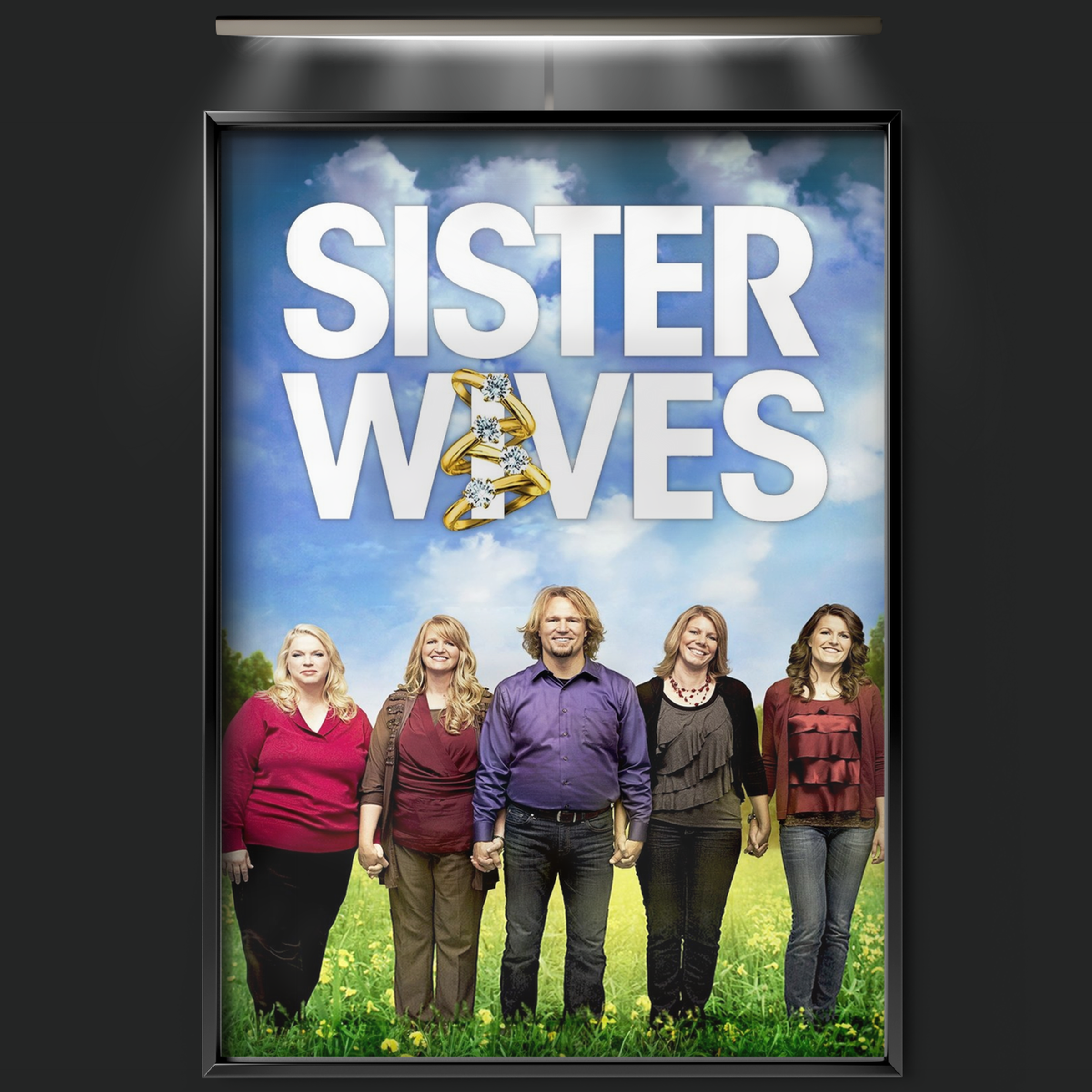Sister Wives (2010)