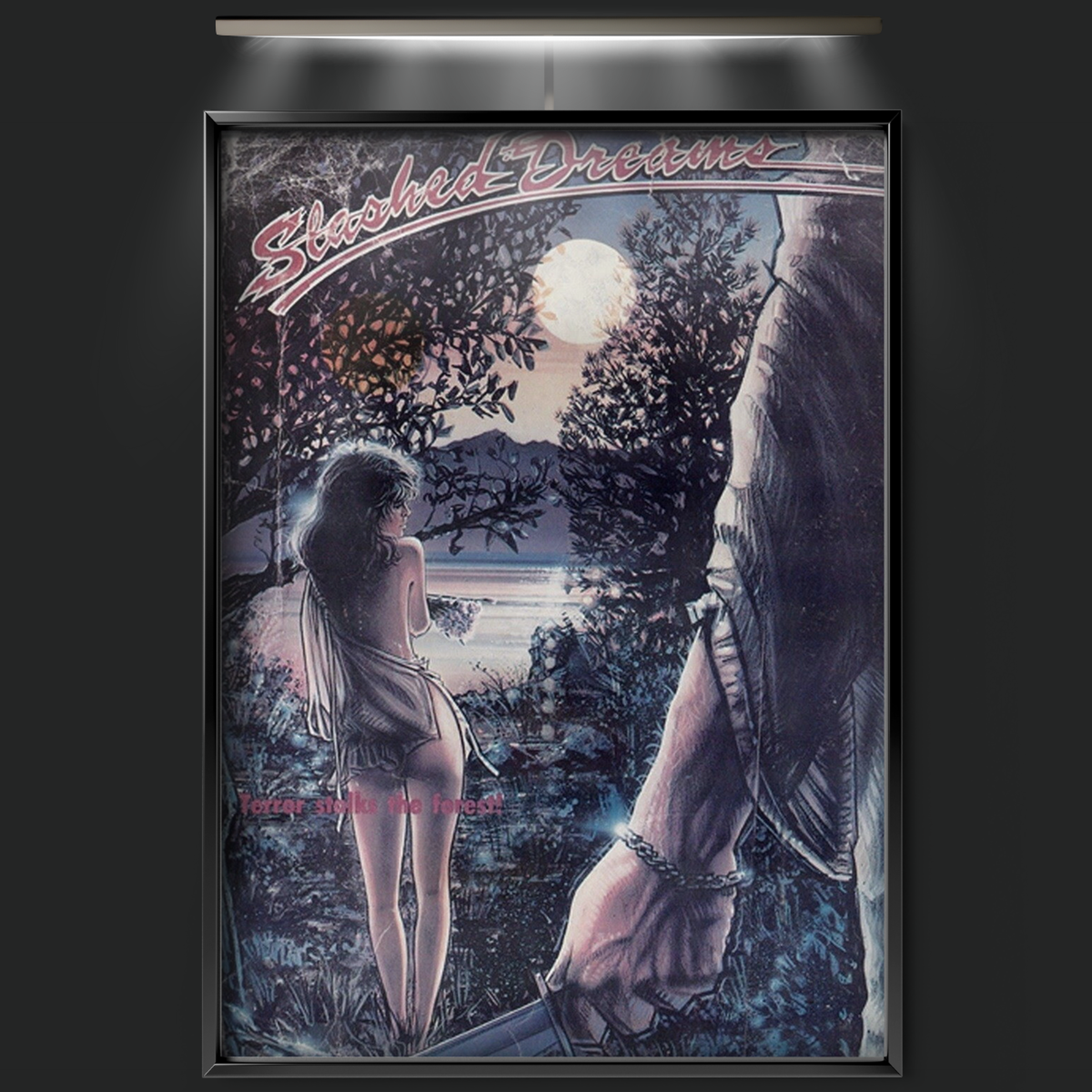 Slashed Dreams (1975)