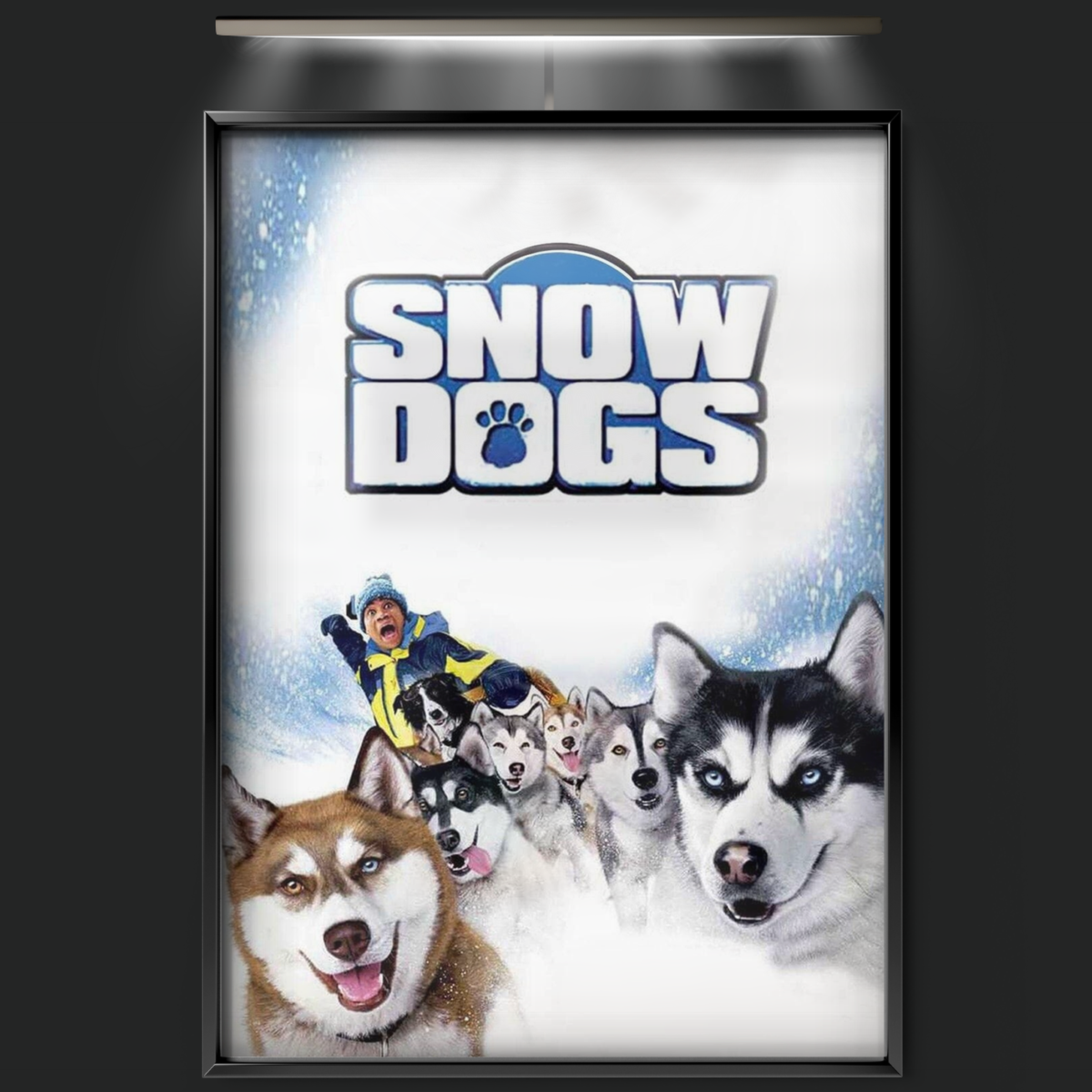 Snow Dogs (2002)