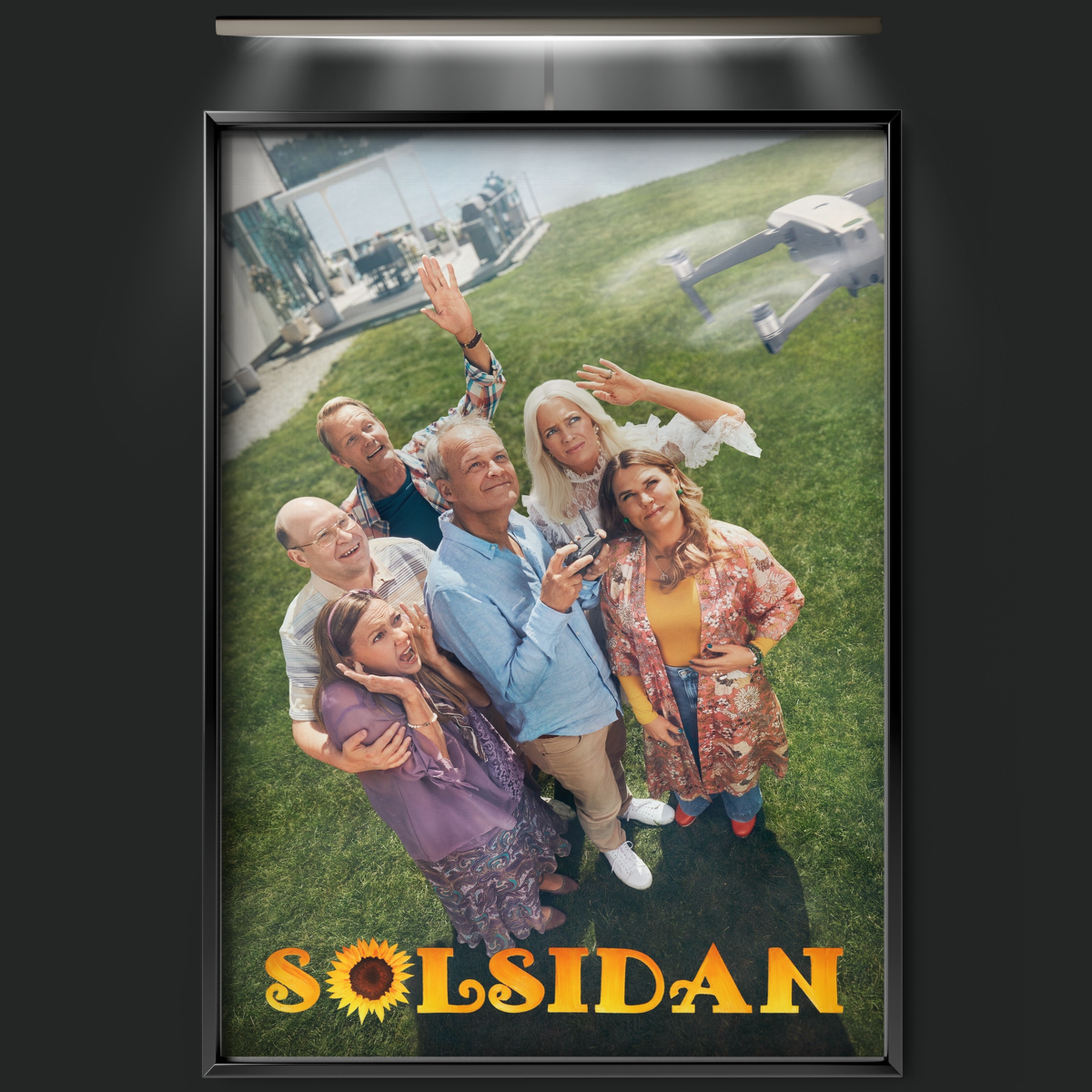 Solsidan (2010)