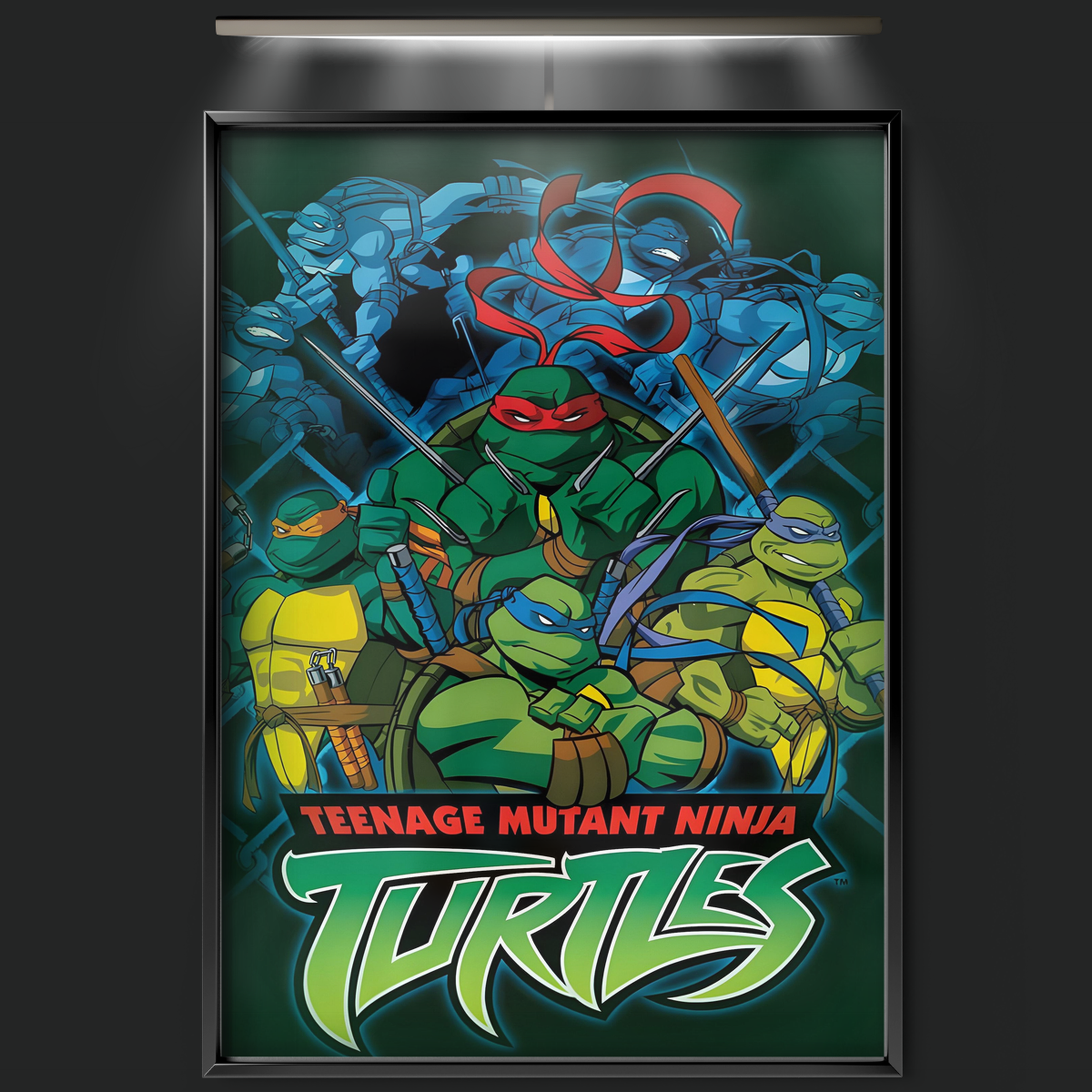 Teenage Mutant Ninja Turtles (2003)