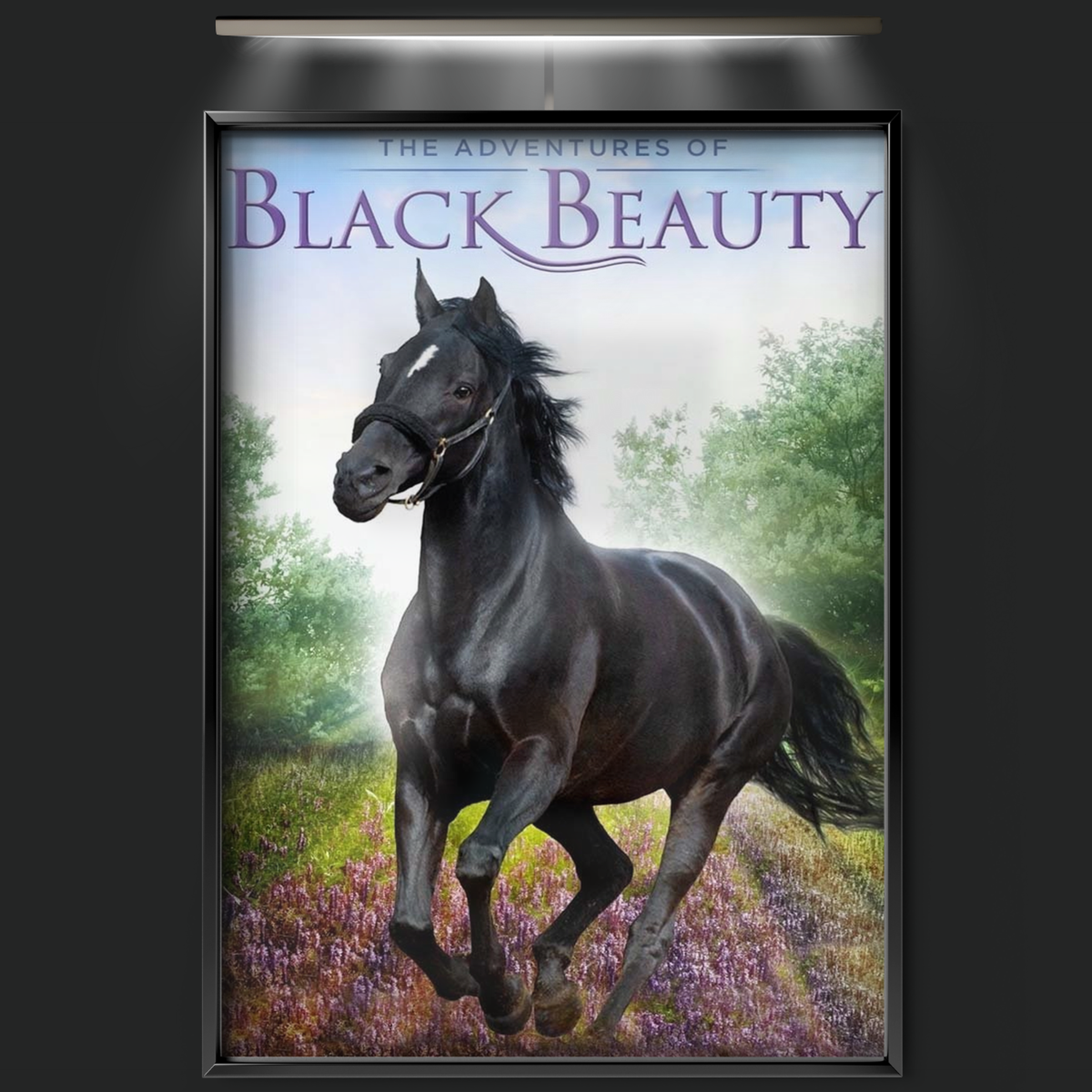 The Adventures Of Black Beauty (1972)