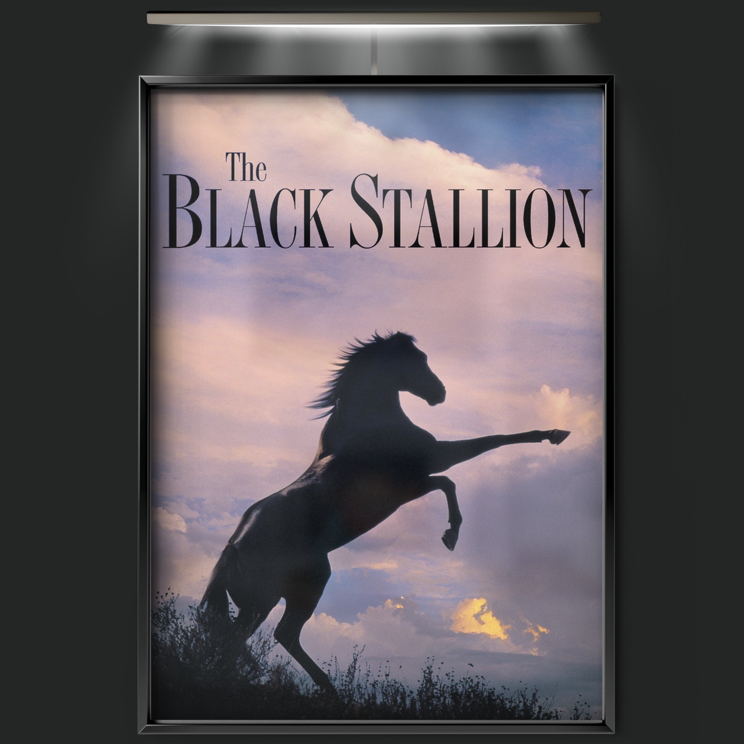 The Black Stallion (1979)