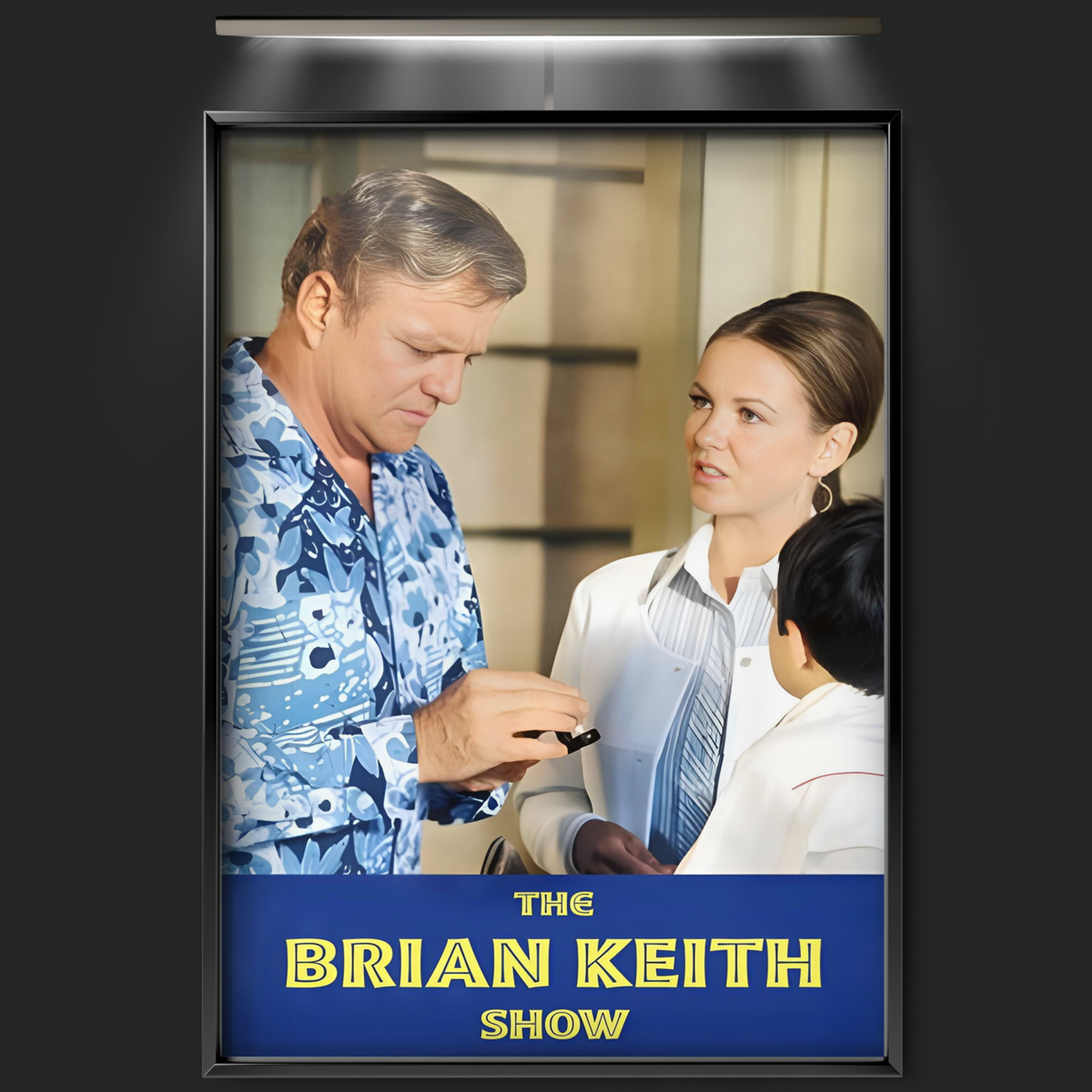 The Brian Keith Show (1972)