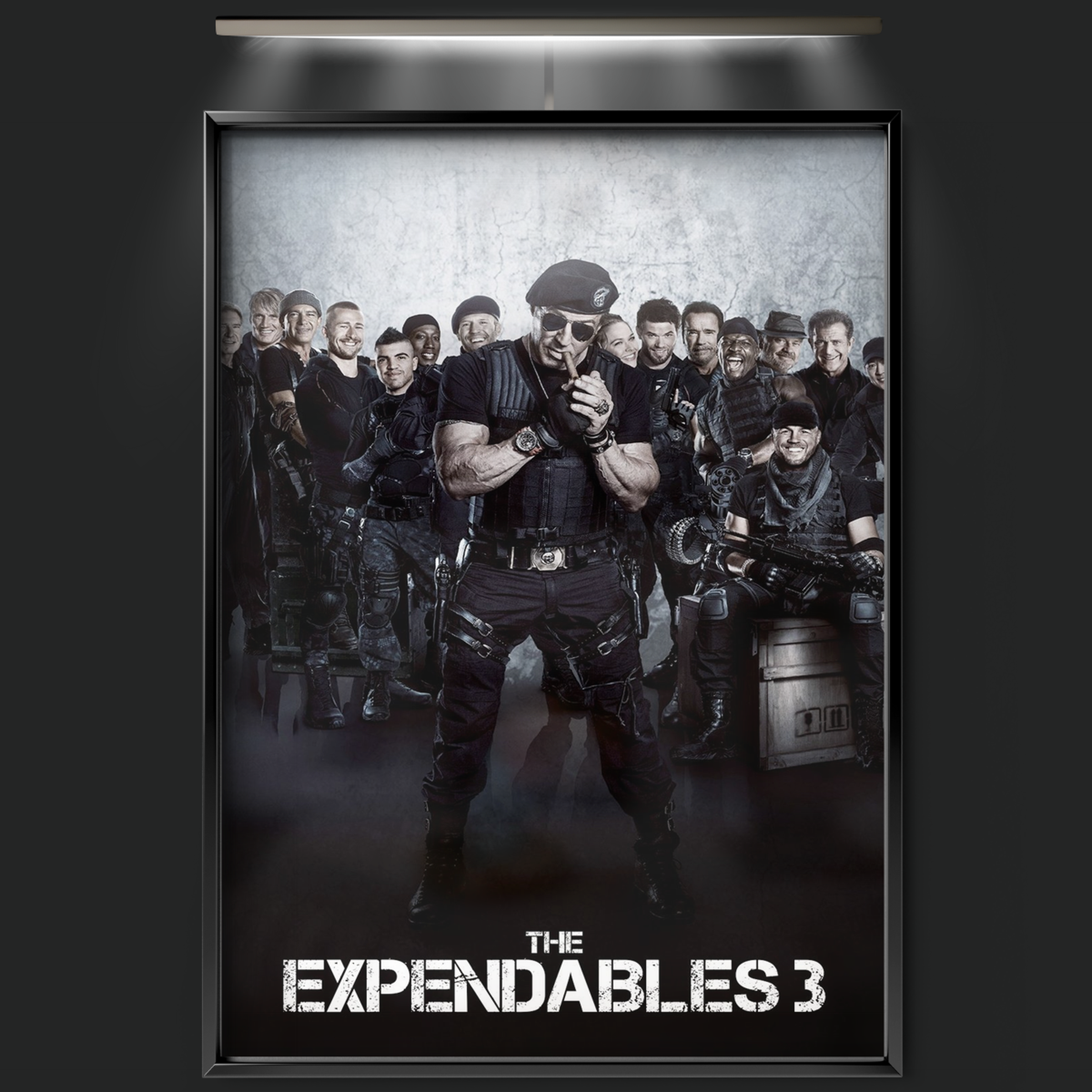 The Expendables 3 (2014)