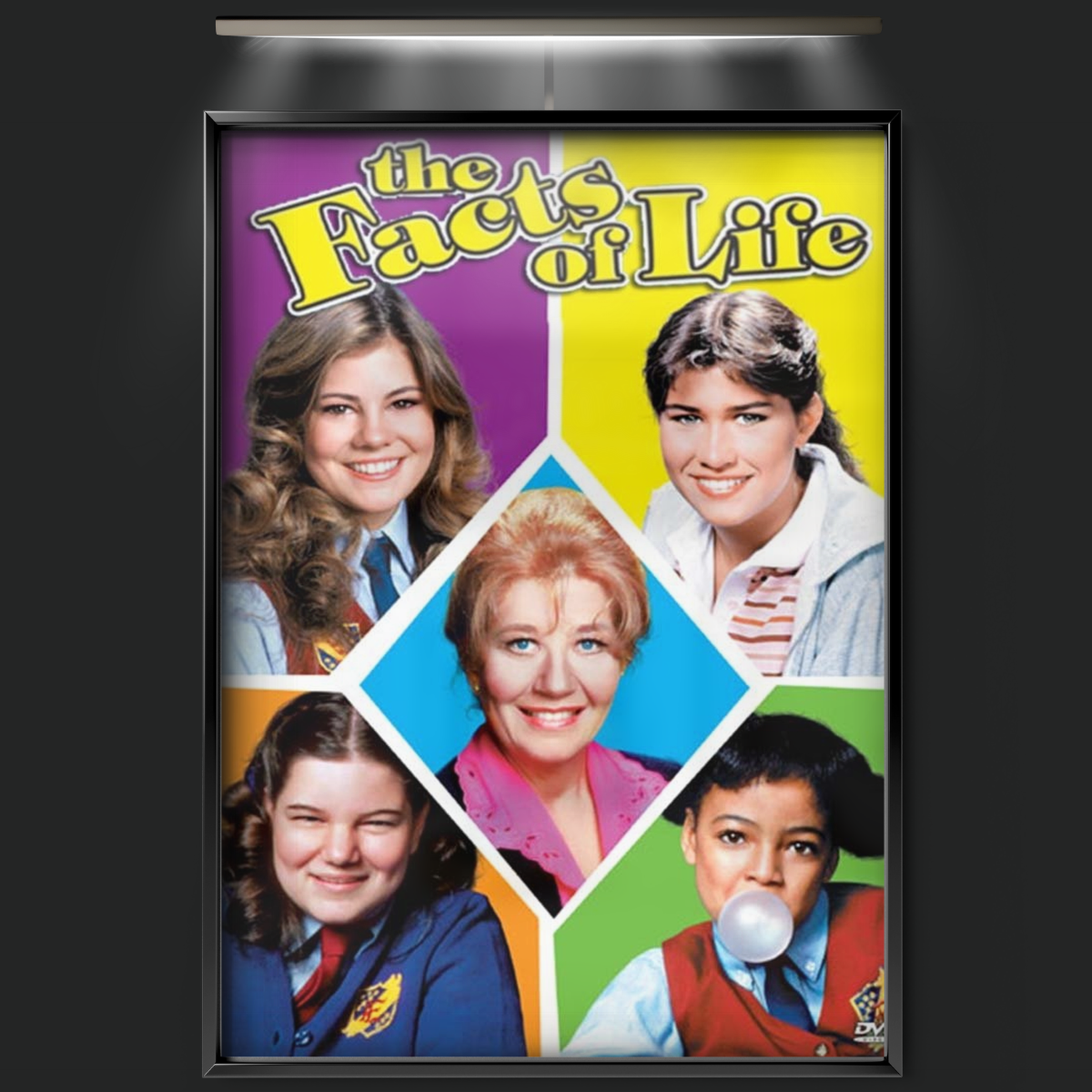 The Facts Of Life (1979)