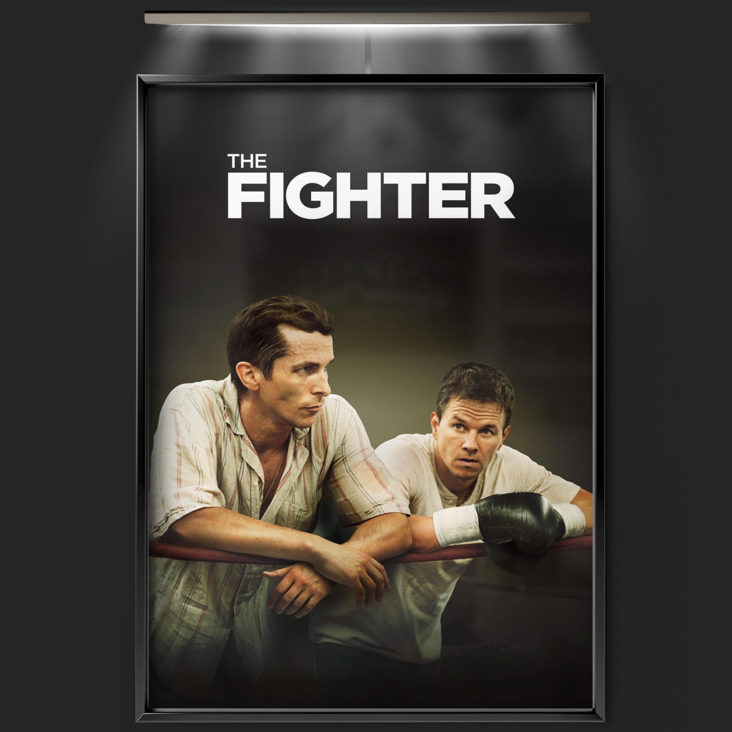 The Fighter (2010)