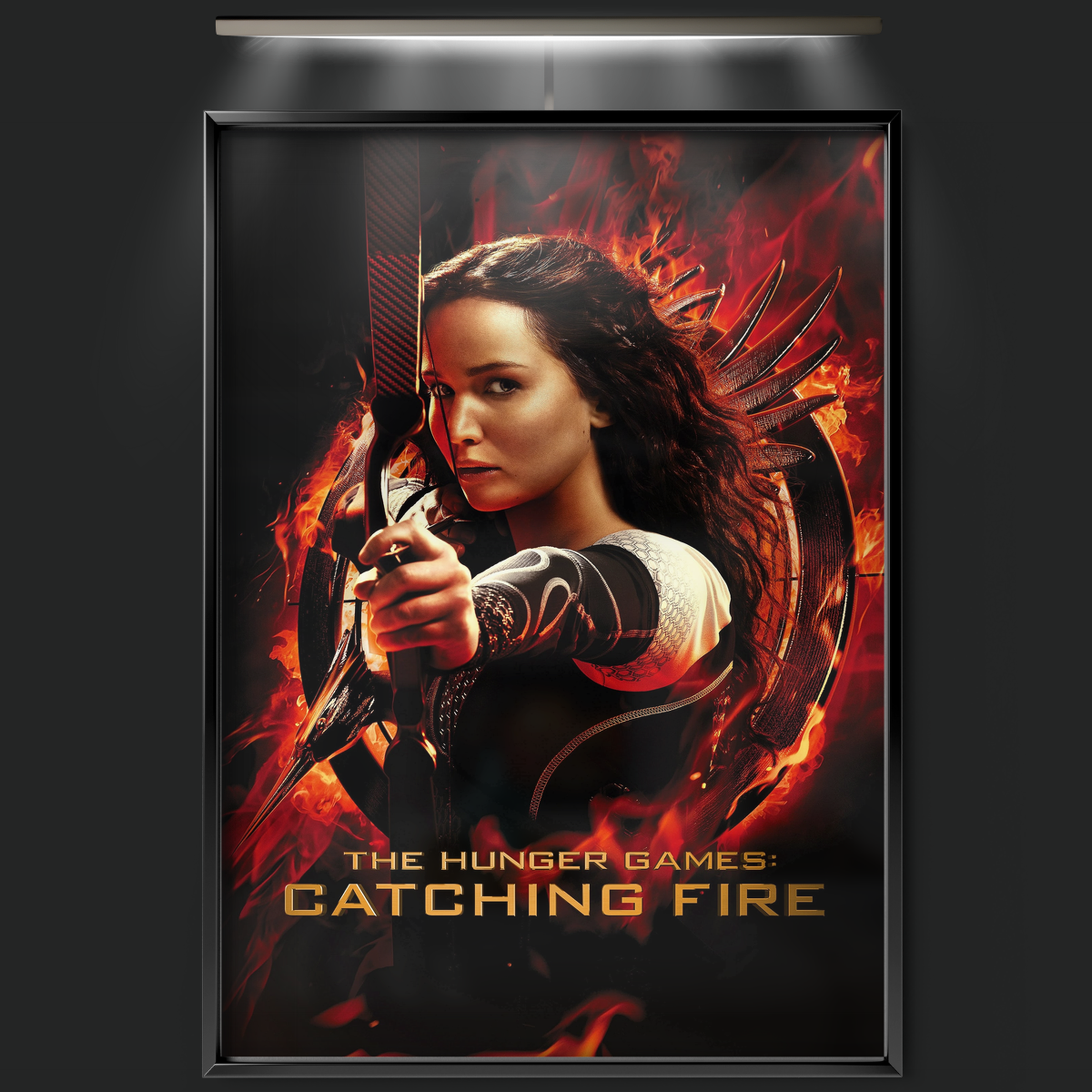 The Hunger Games Catching Fire (2013)