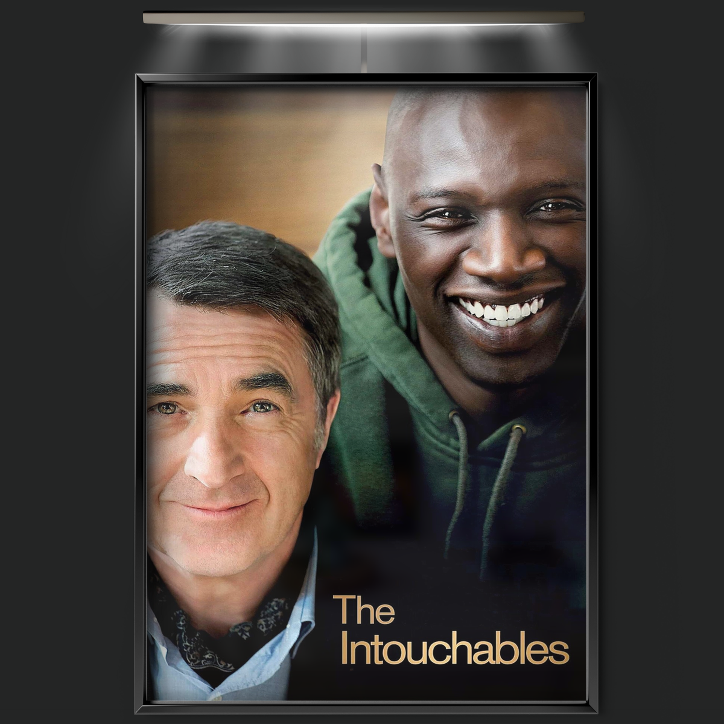 The Intouchables (2011)