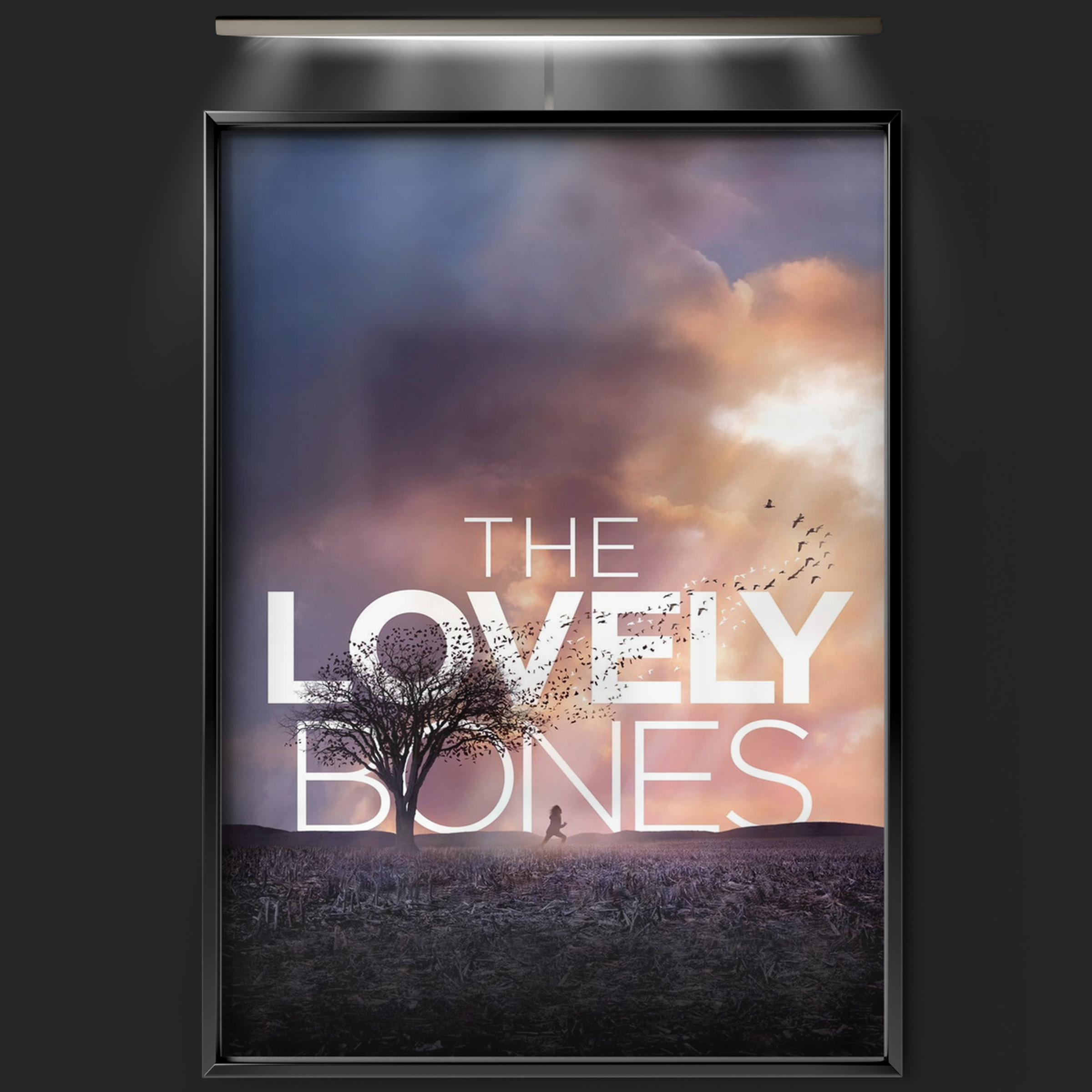 The Lovely Bones (2009)