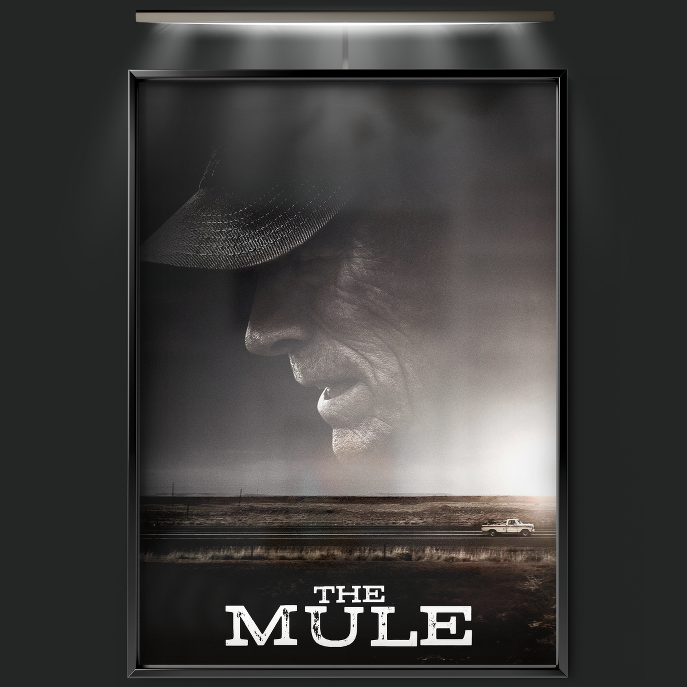 The Mule (2018)