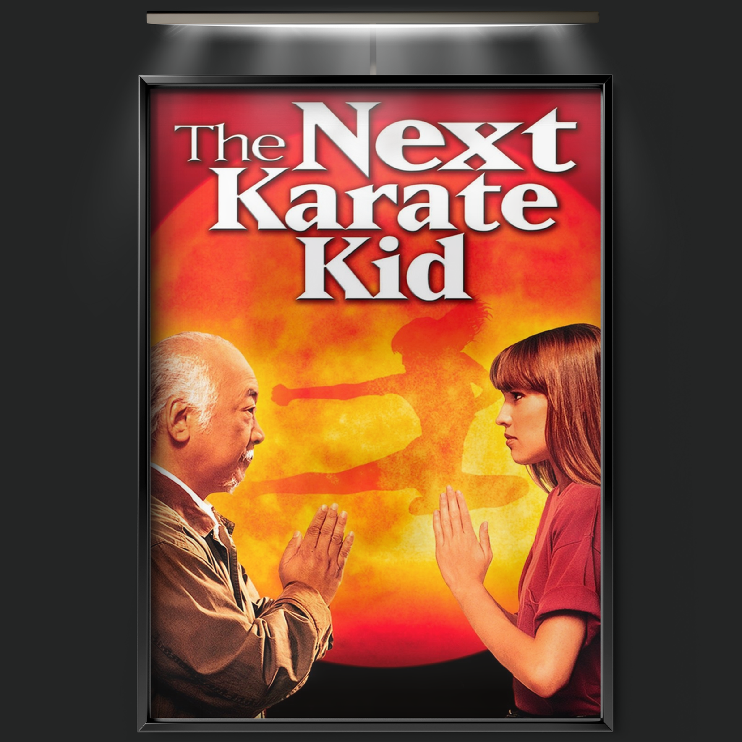 The Next Karate Kid (1994)