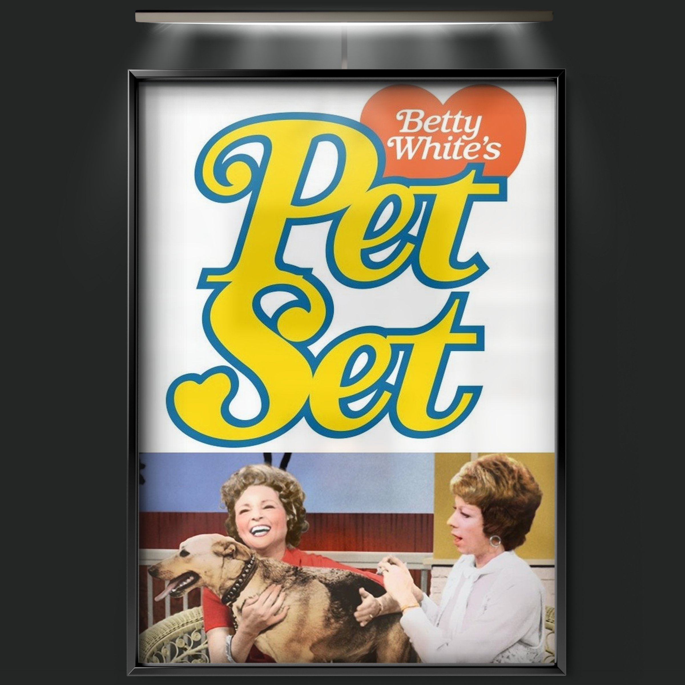 The Pet Set (1971)