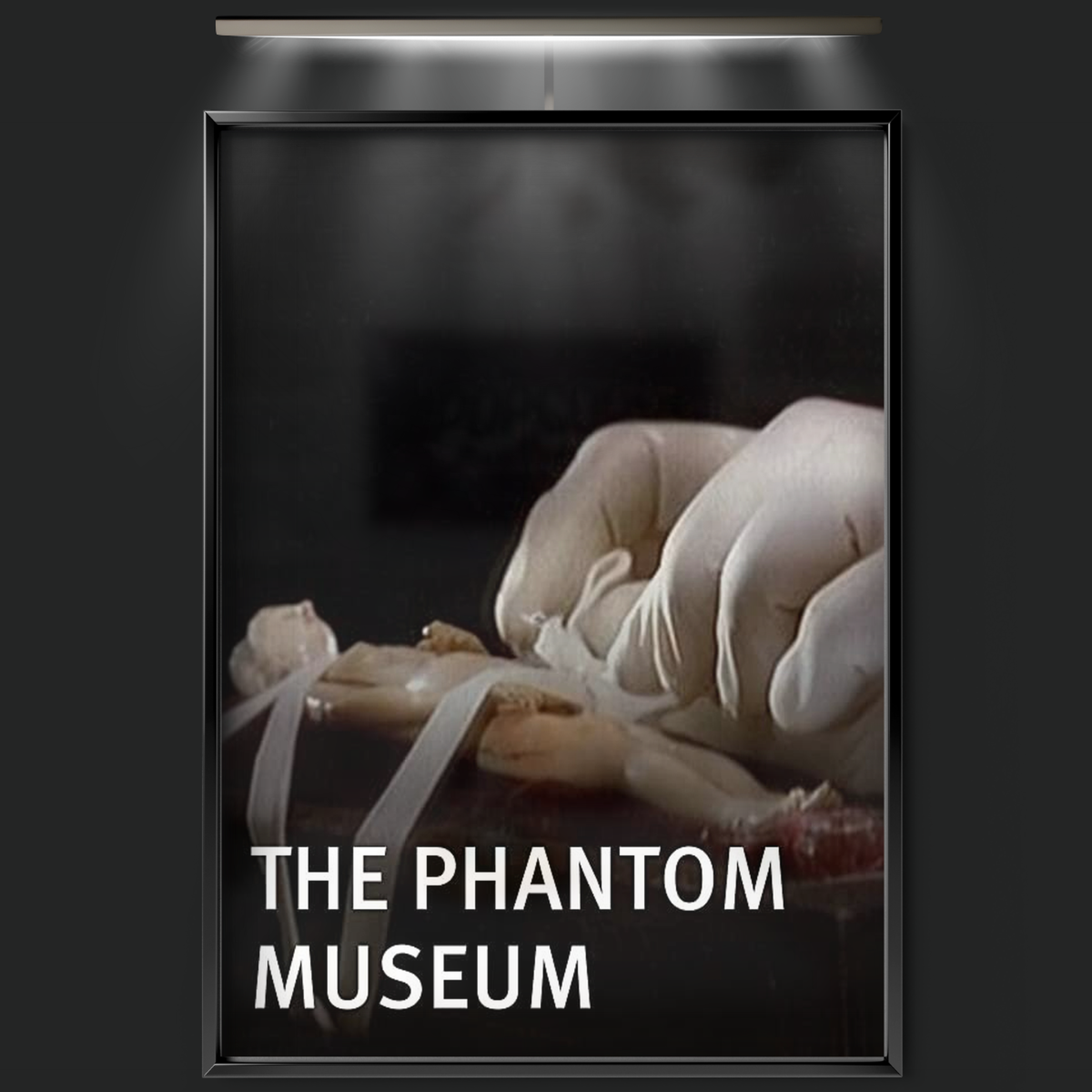 The Phantom Museum Random Forays Into The Vaults Of Sir Henry Wellcome's Medical Collection (2003)