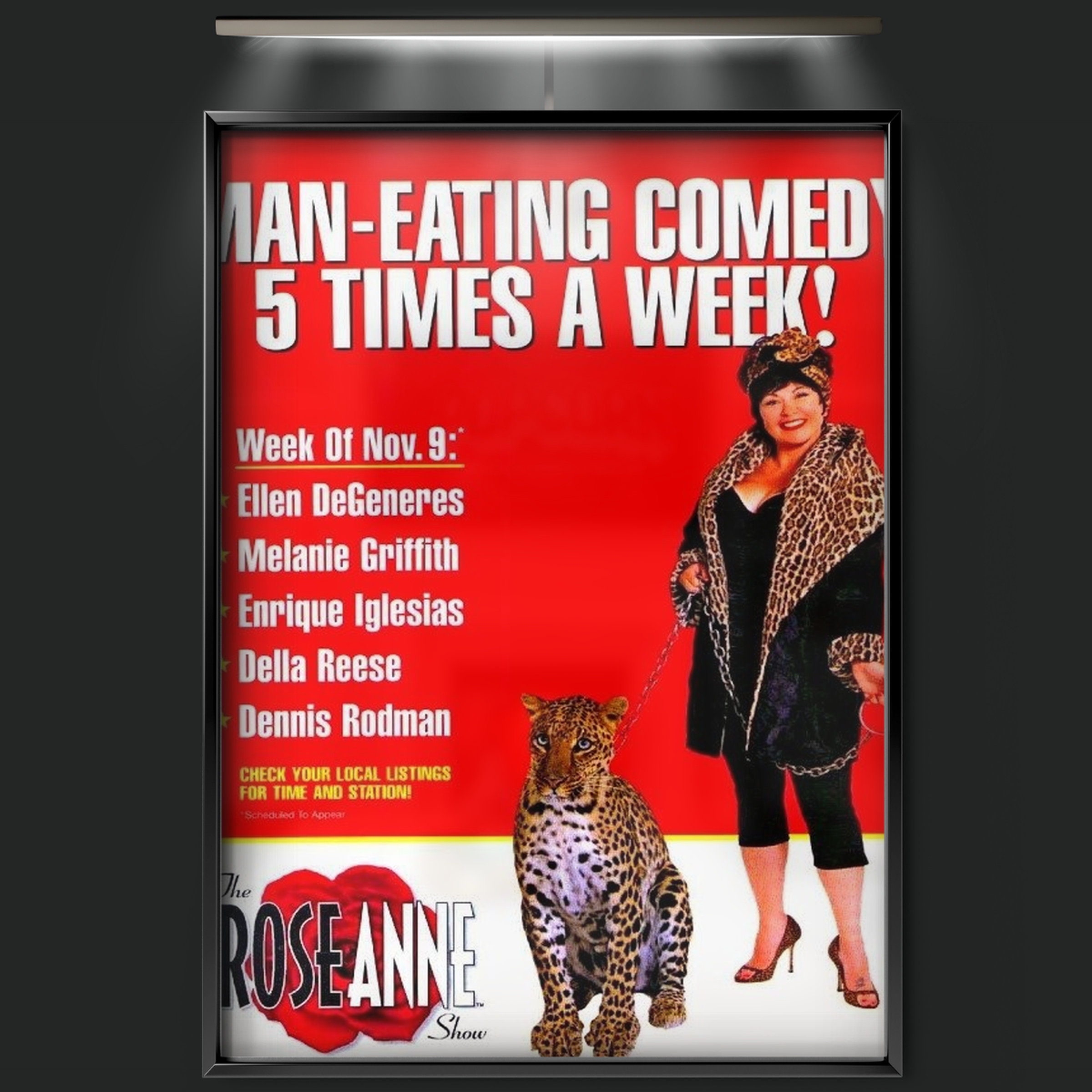 The Roseanne Show (1998)