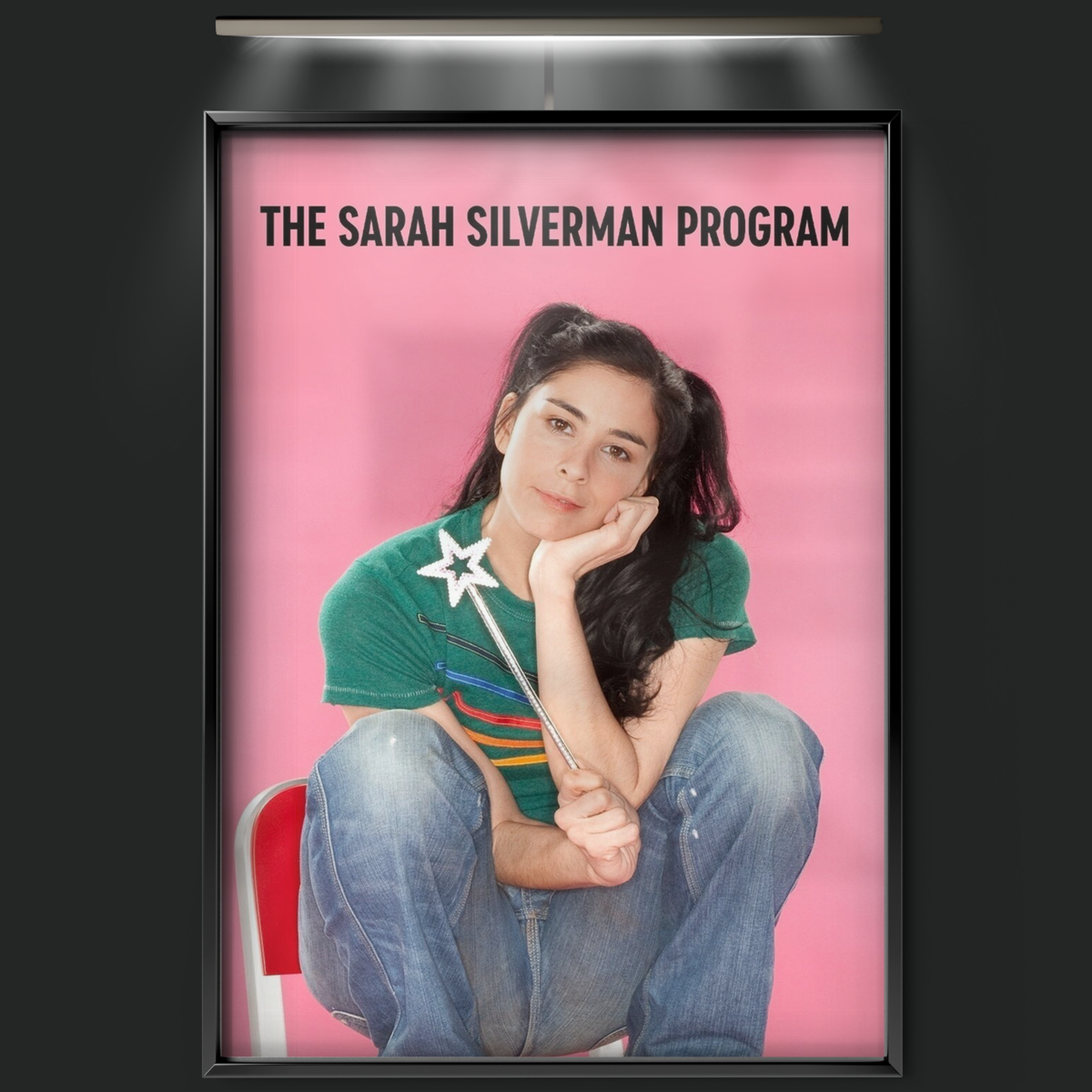 The Sarah Silverman Program. (2007)