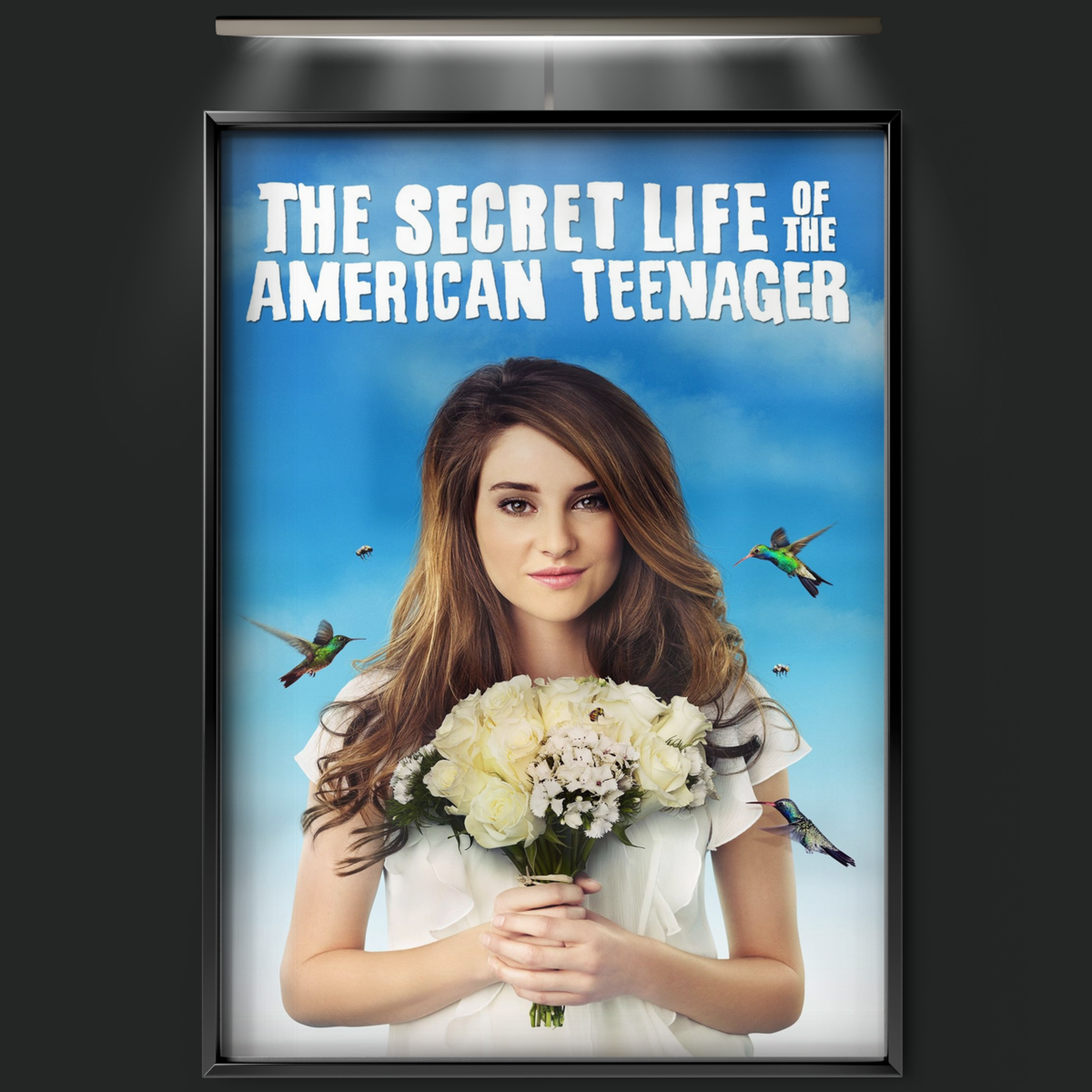 The Secret Life Of The American Teenager (2008)