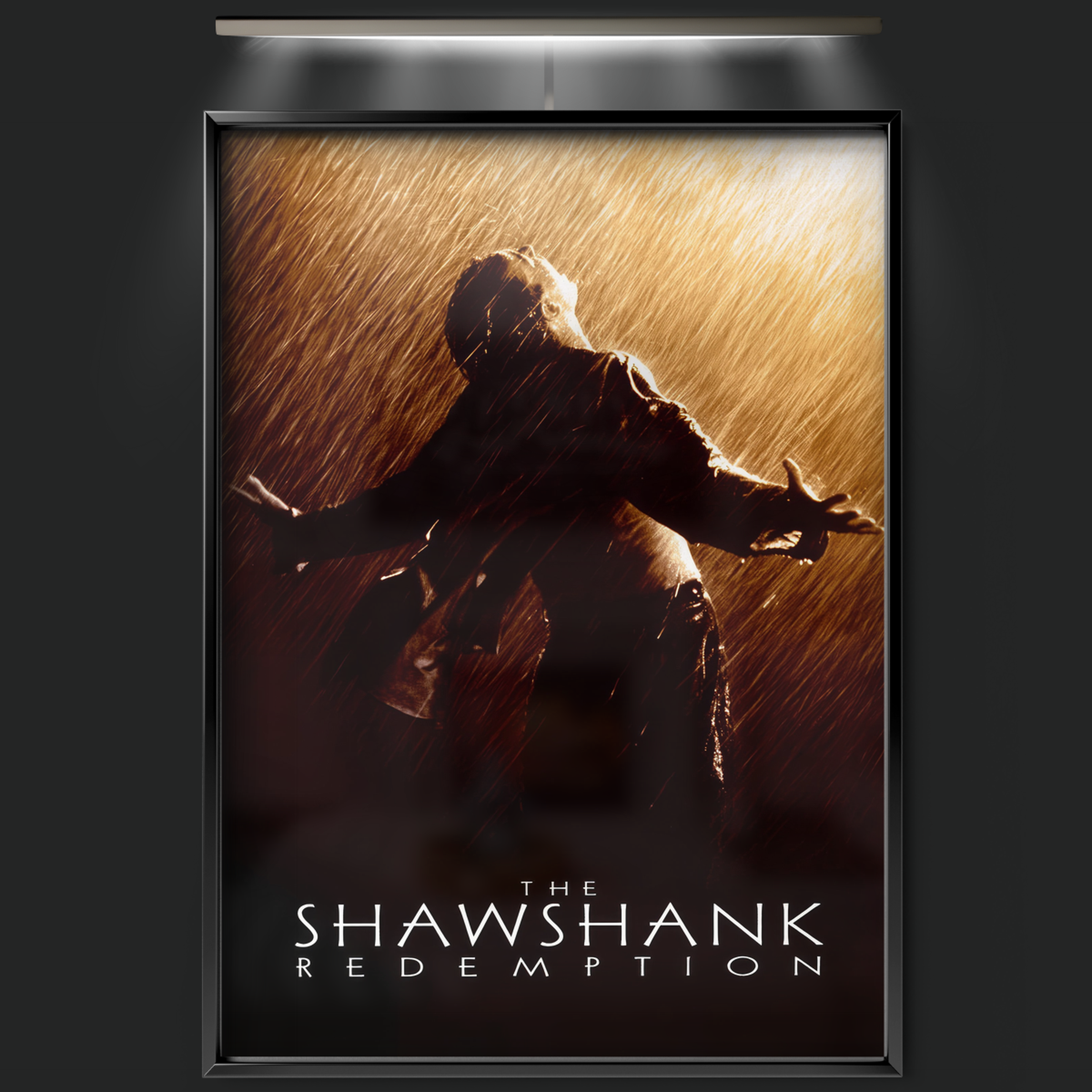 The Shawshank Redemption (1994)