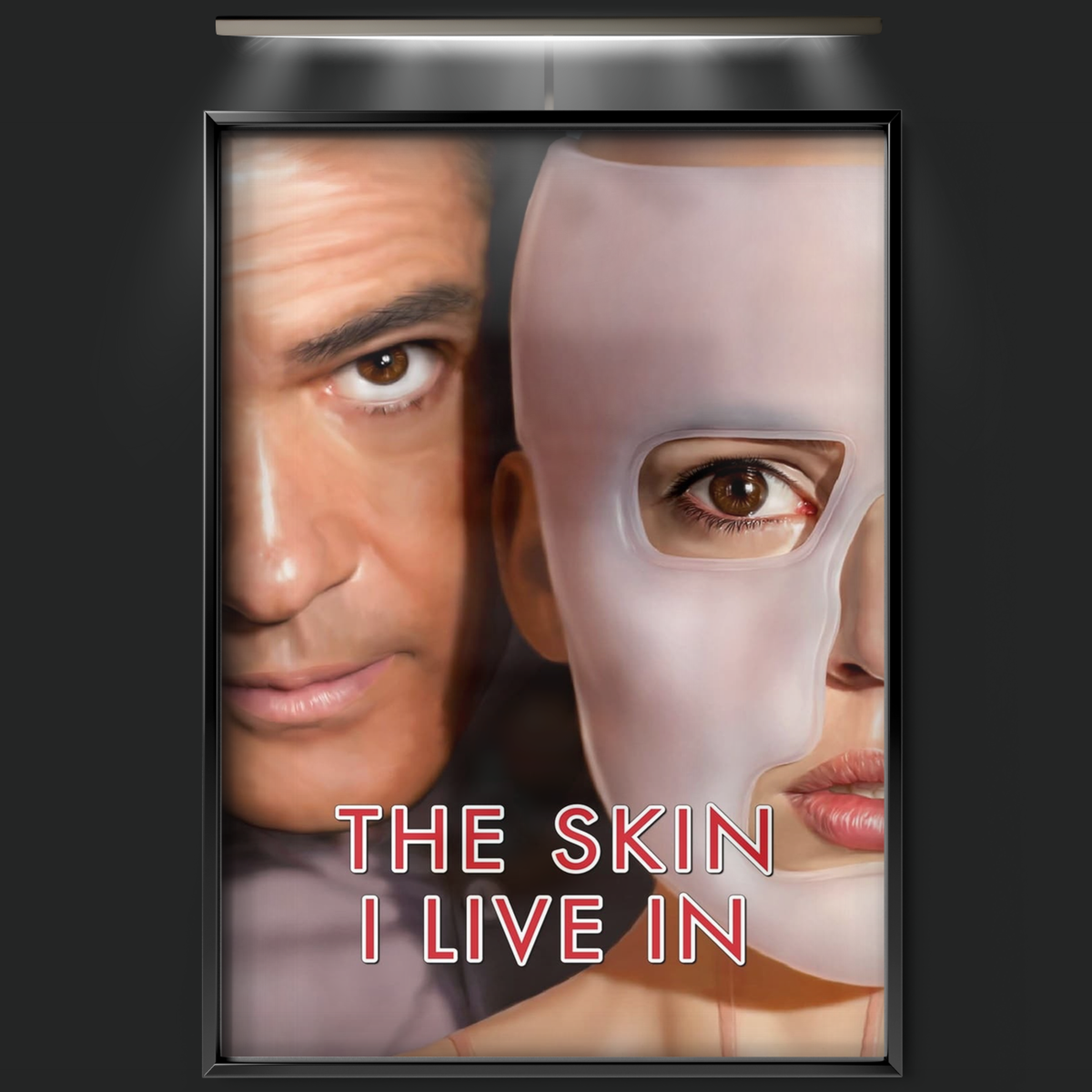 The Skin I Live In (2011)