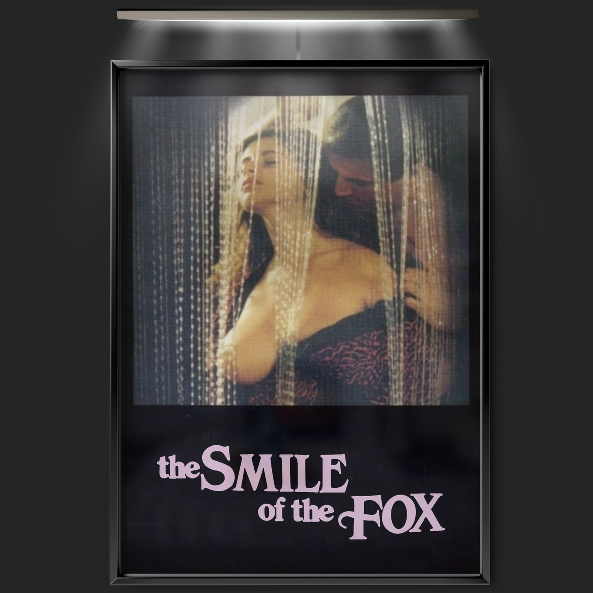 The Smile Of The Fox (1992)