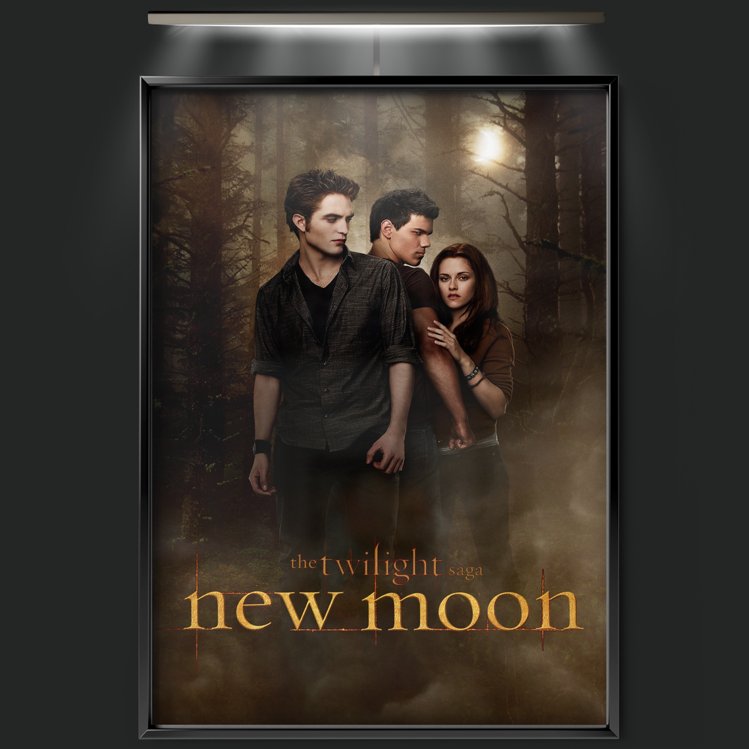 The Twilight Saga New Moon (2009)