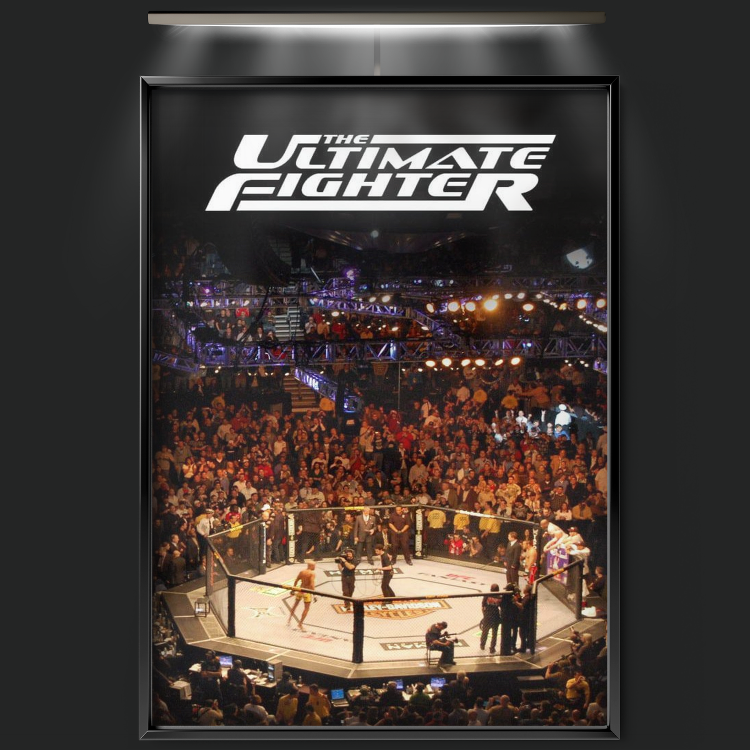 The Ultimate Fighter (2005)