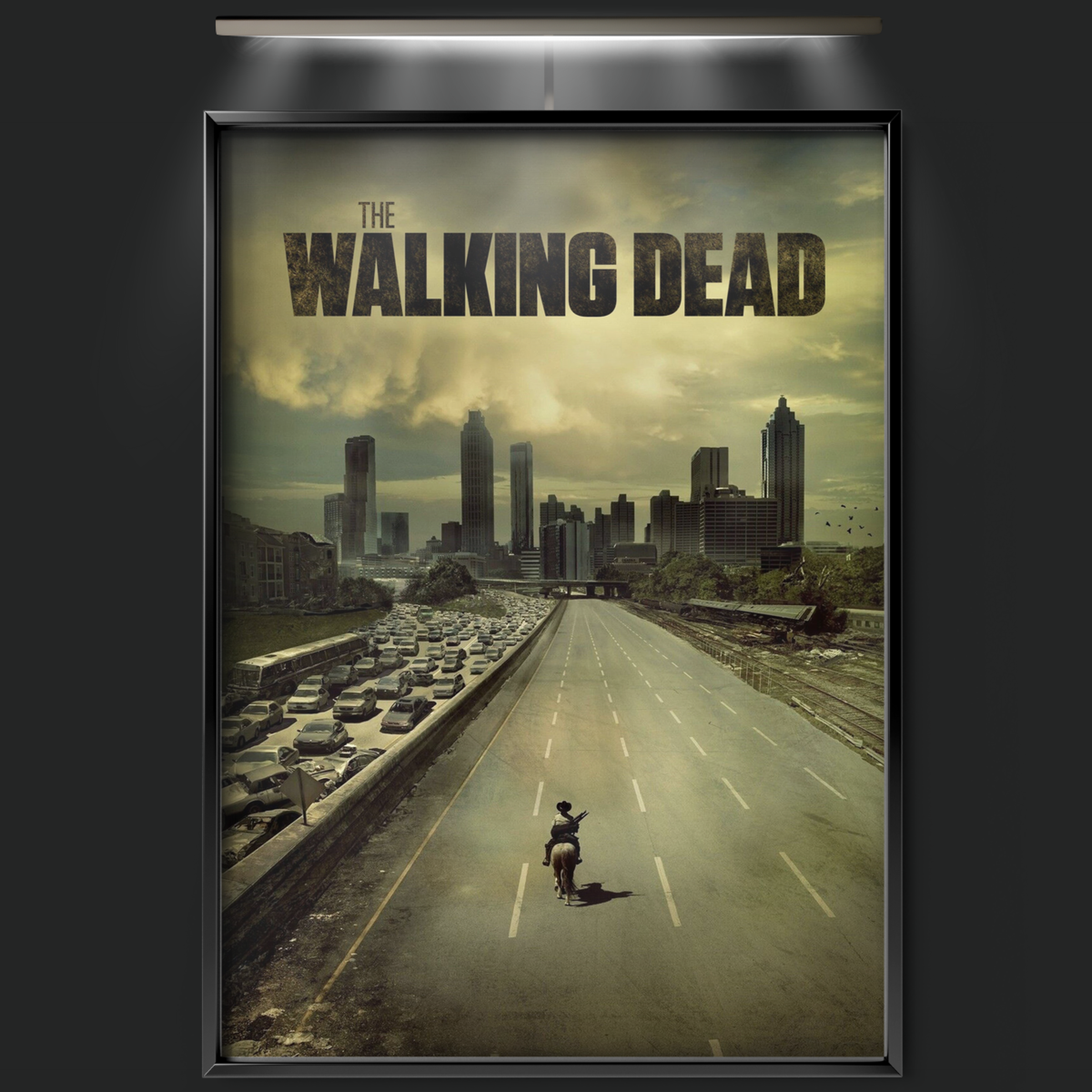 The Walking Dead (2010)