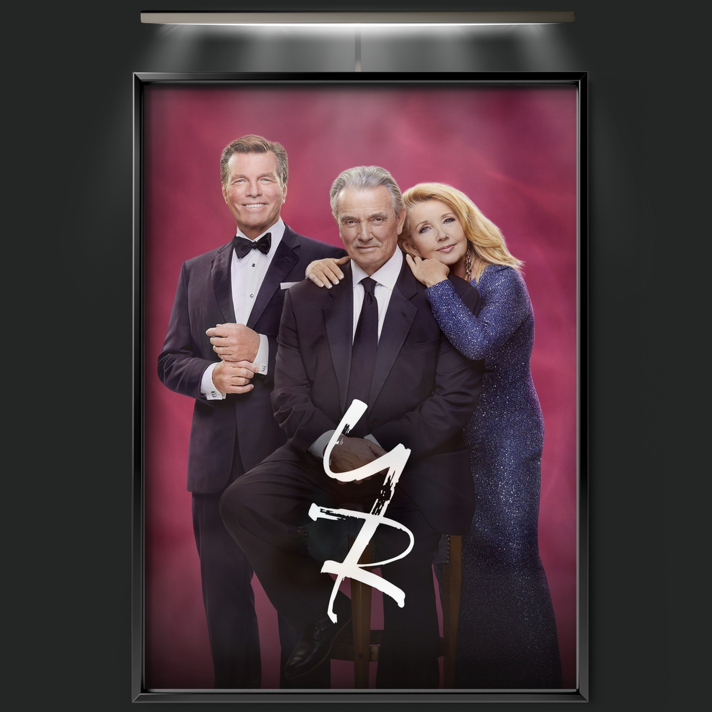 The Young And The Restless (1973)