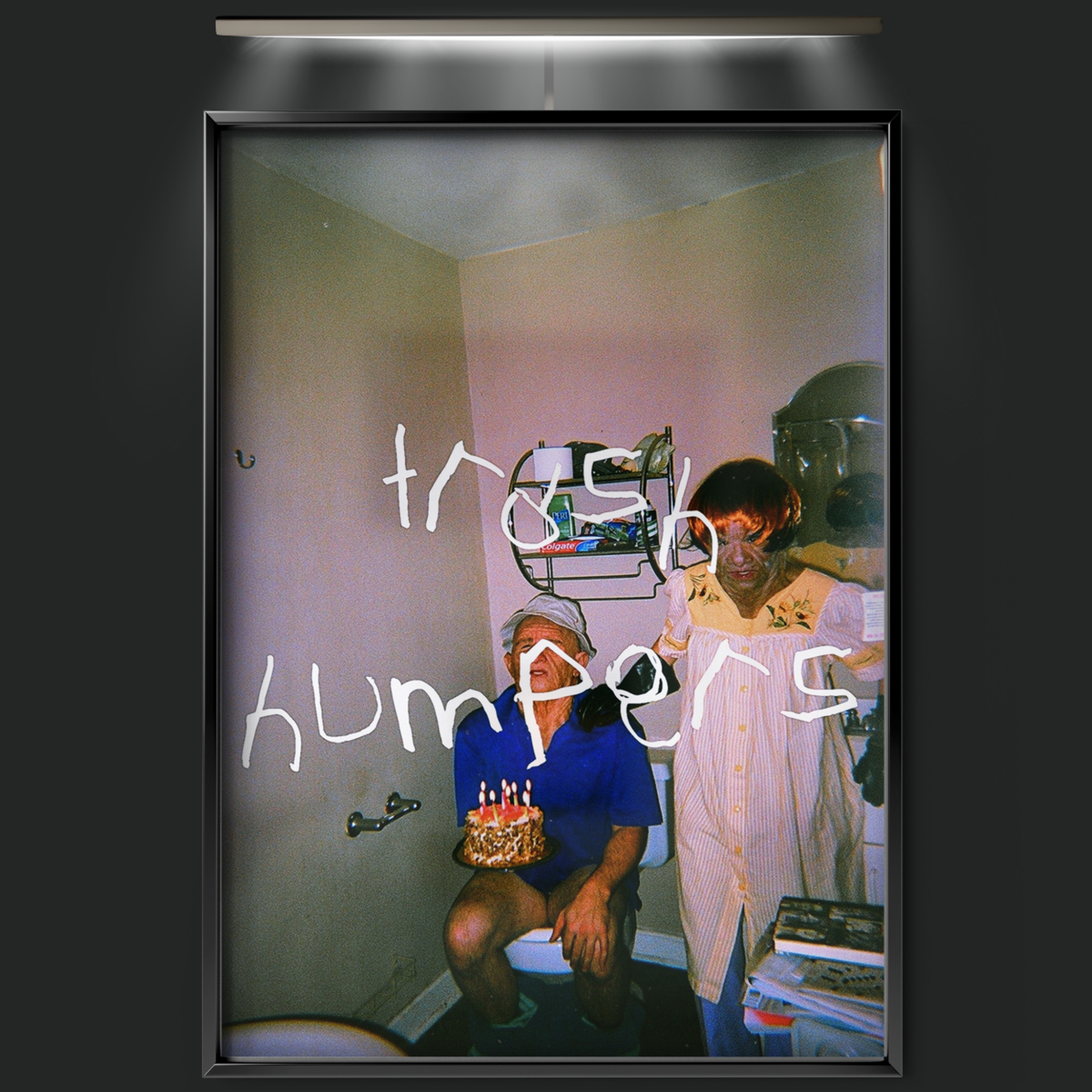 Trash Humpers (2010)