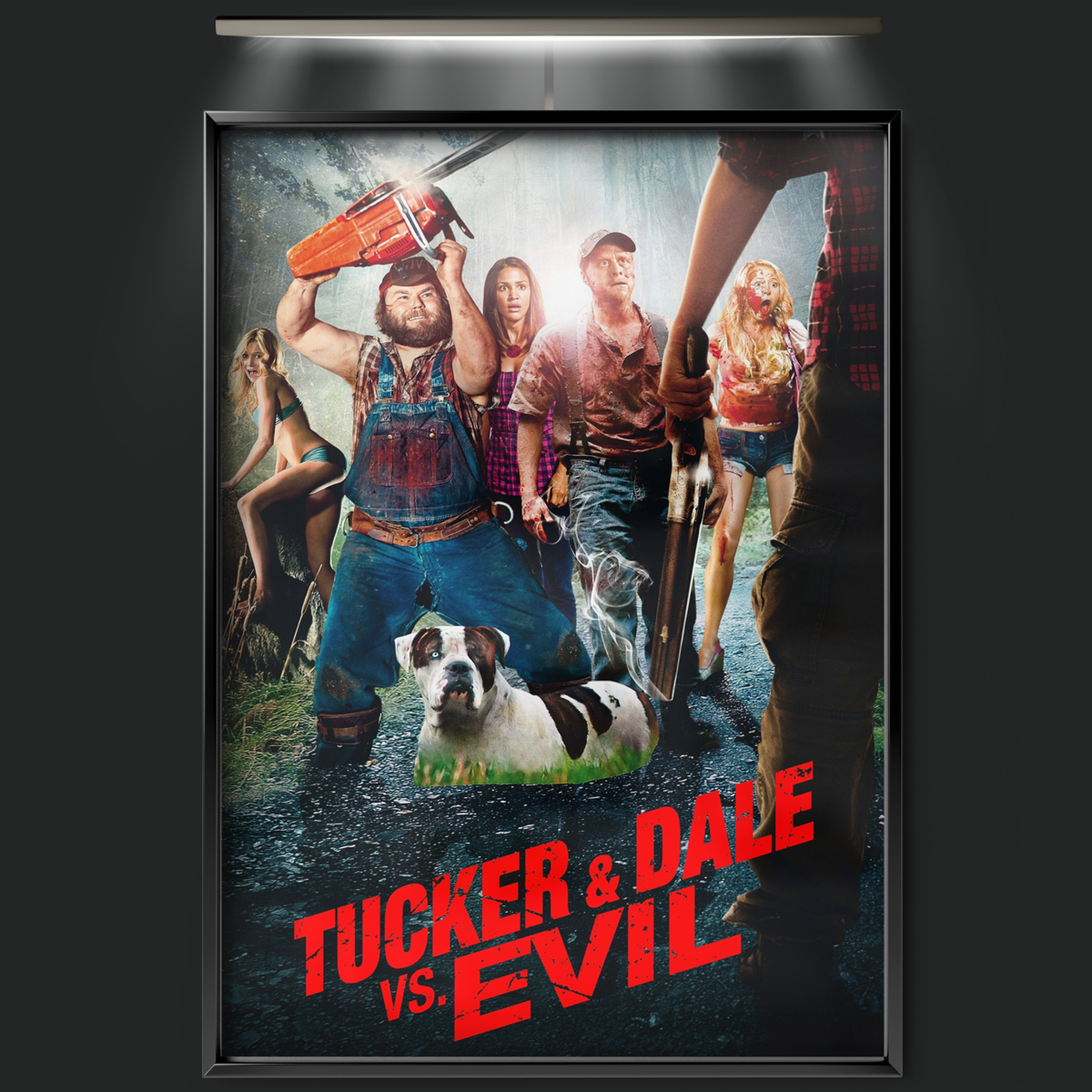 Tucker And Dale Vs. Evil (2010)