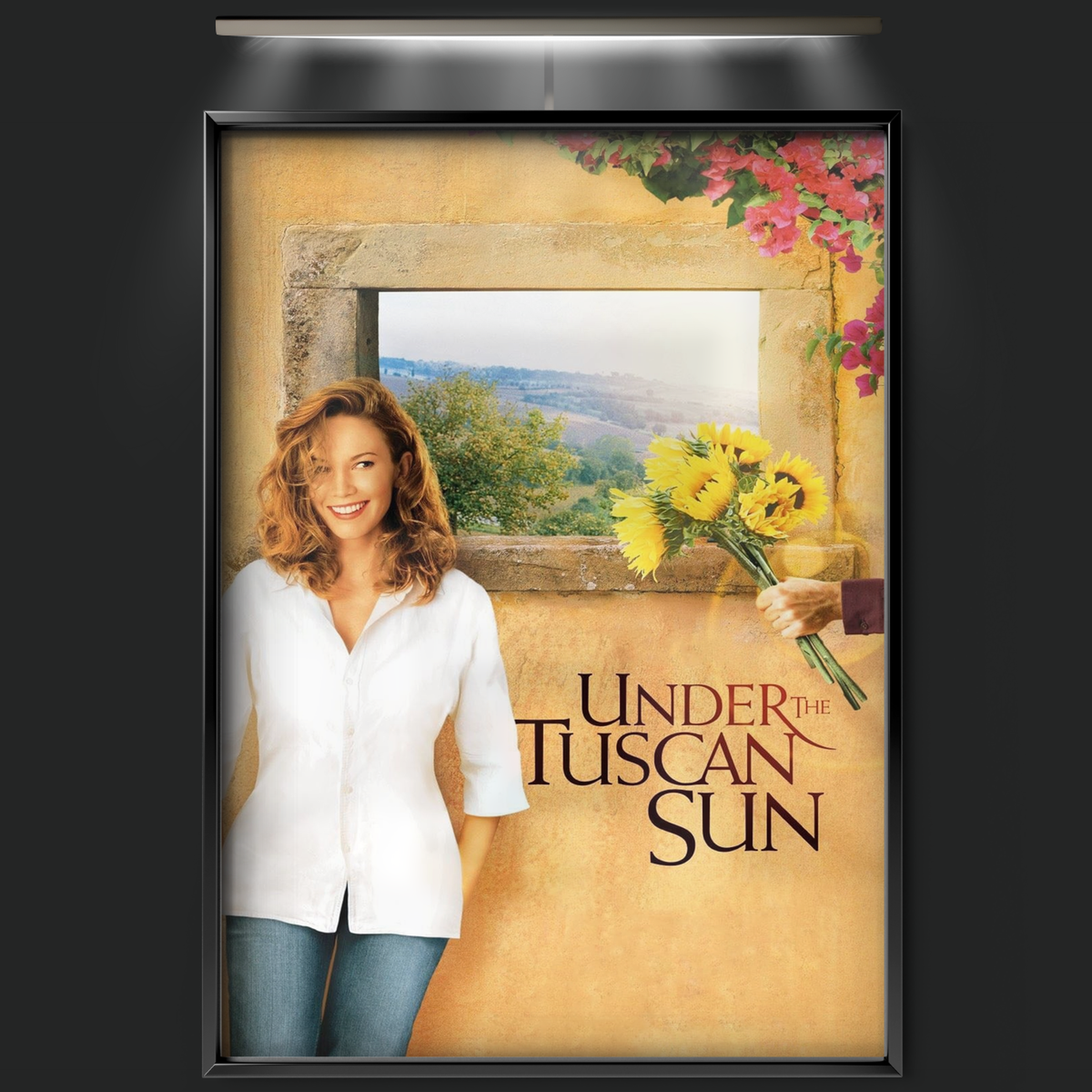 Under The Tuscan Sun (2003)