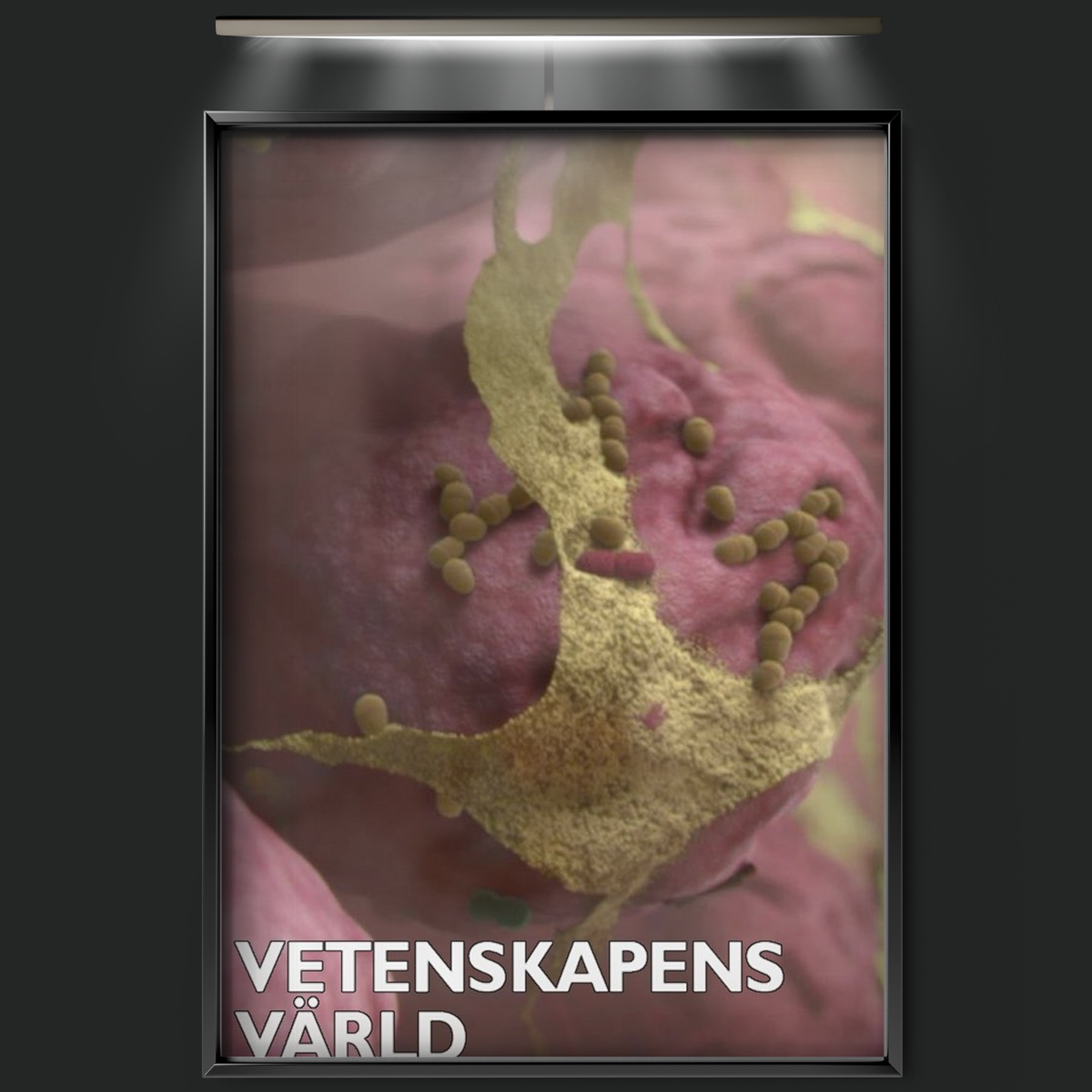 Vetenskapens Värld (1971)