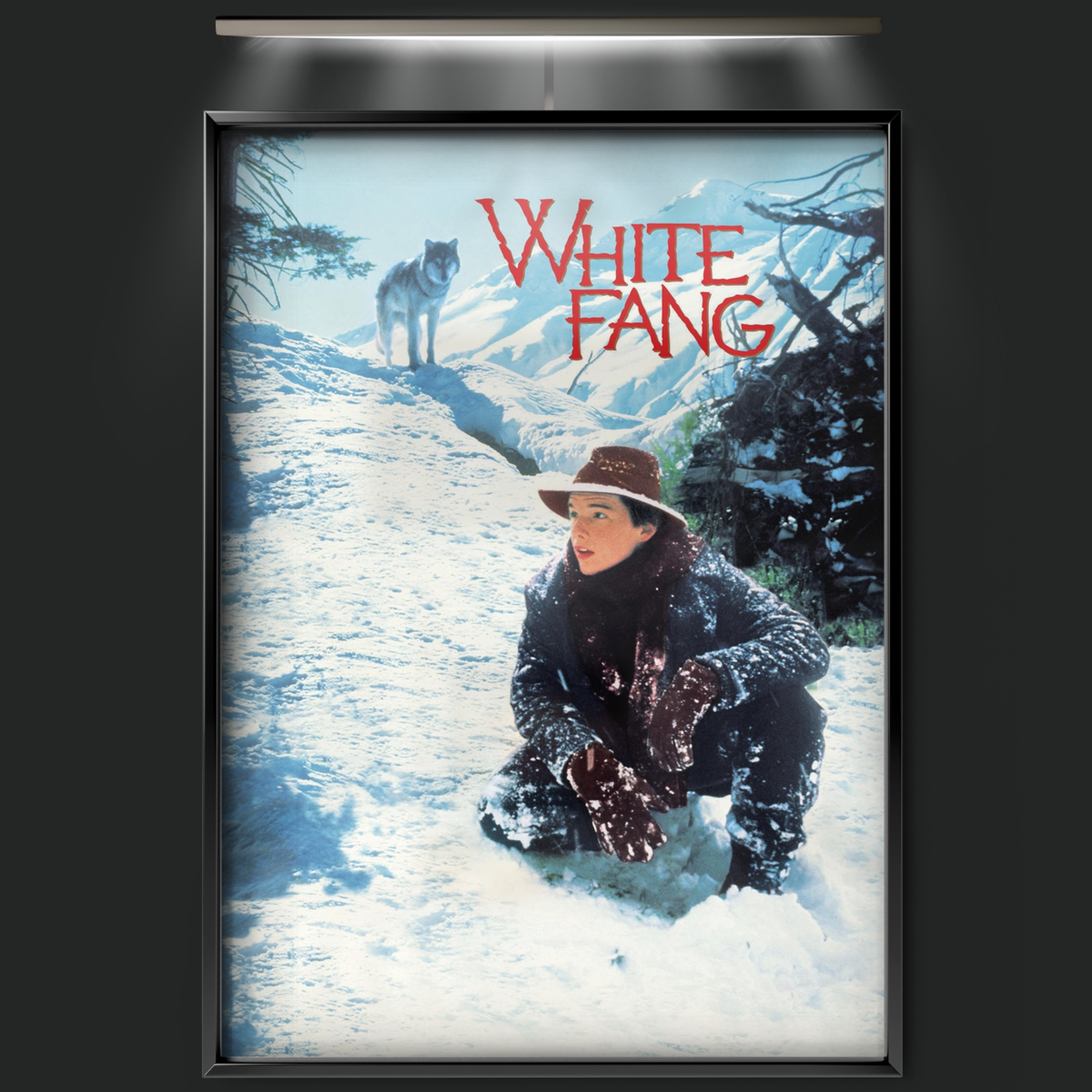 White Fang (1991)