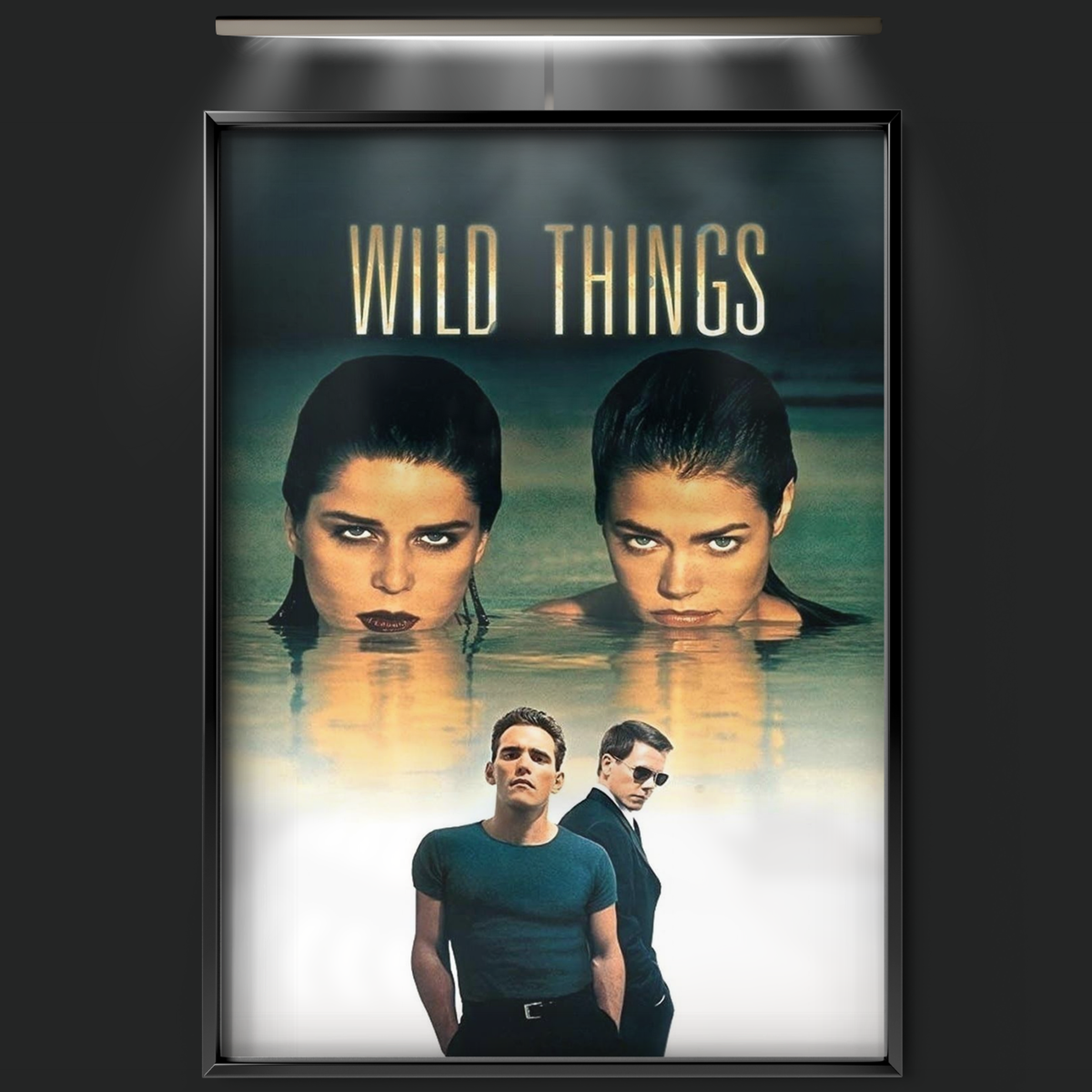 Wild Things (1998)