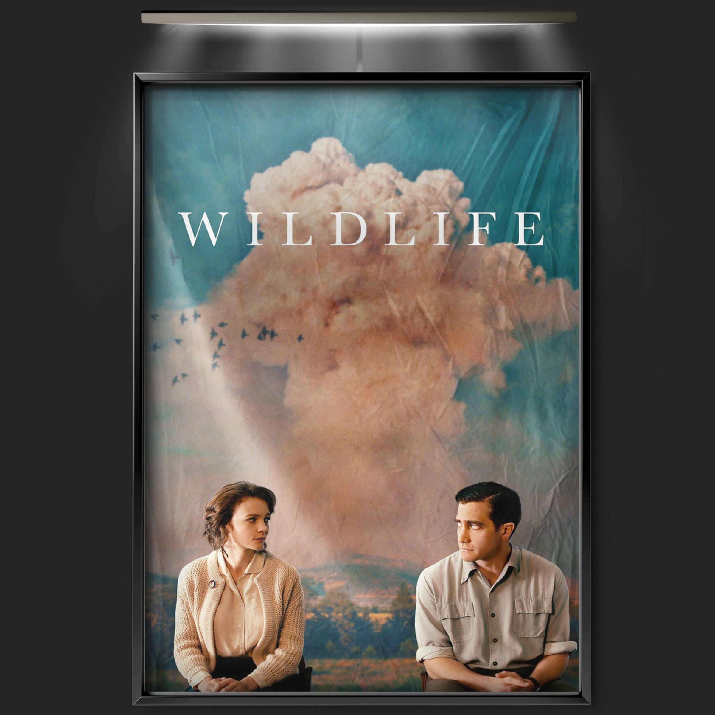 Wildlife (2018)