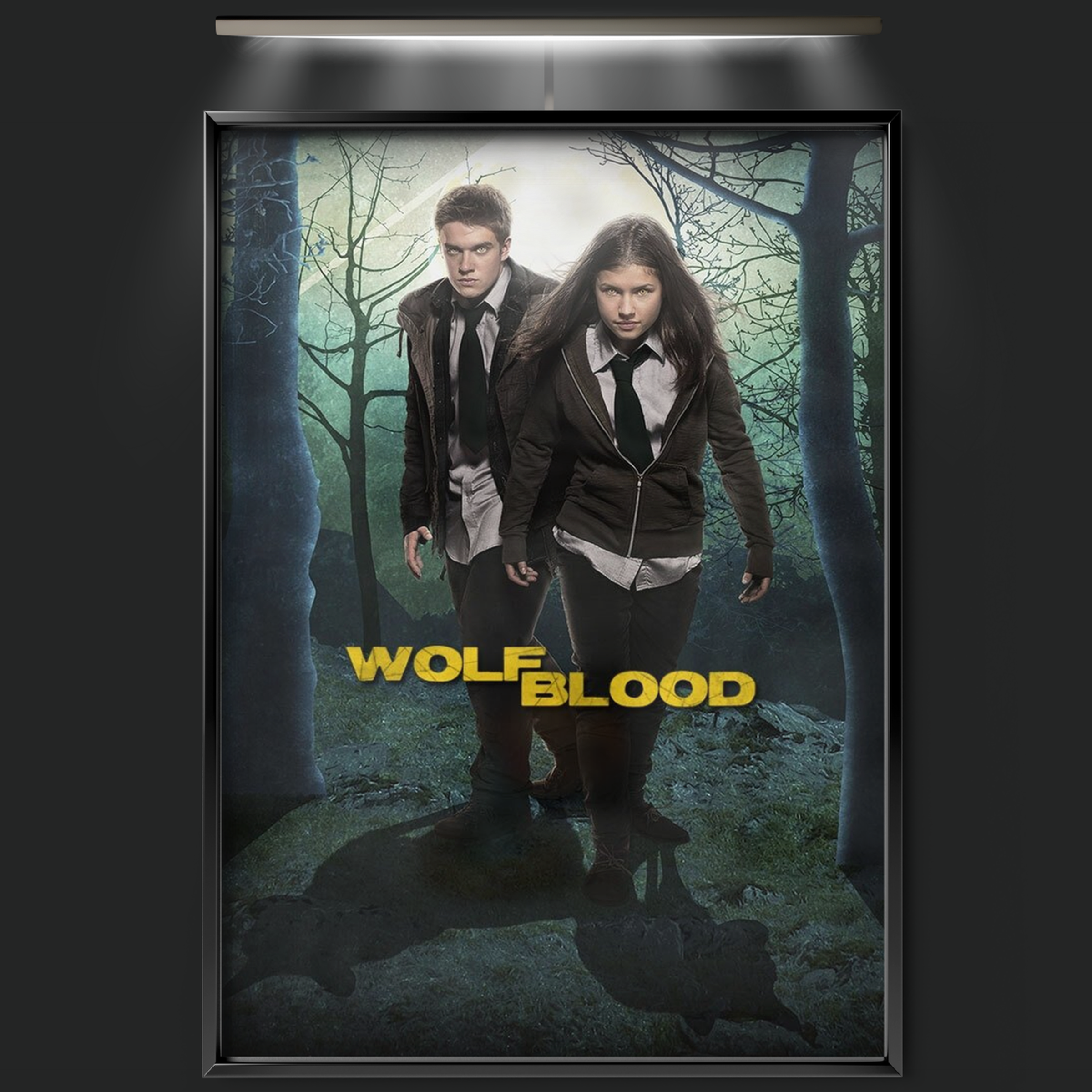 Wolfblood (2012)
