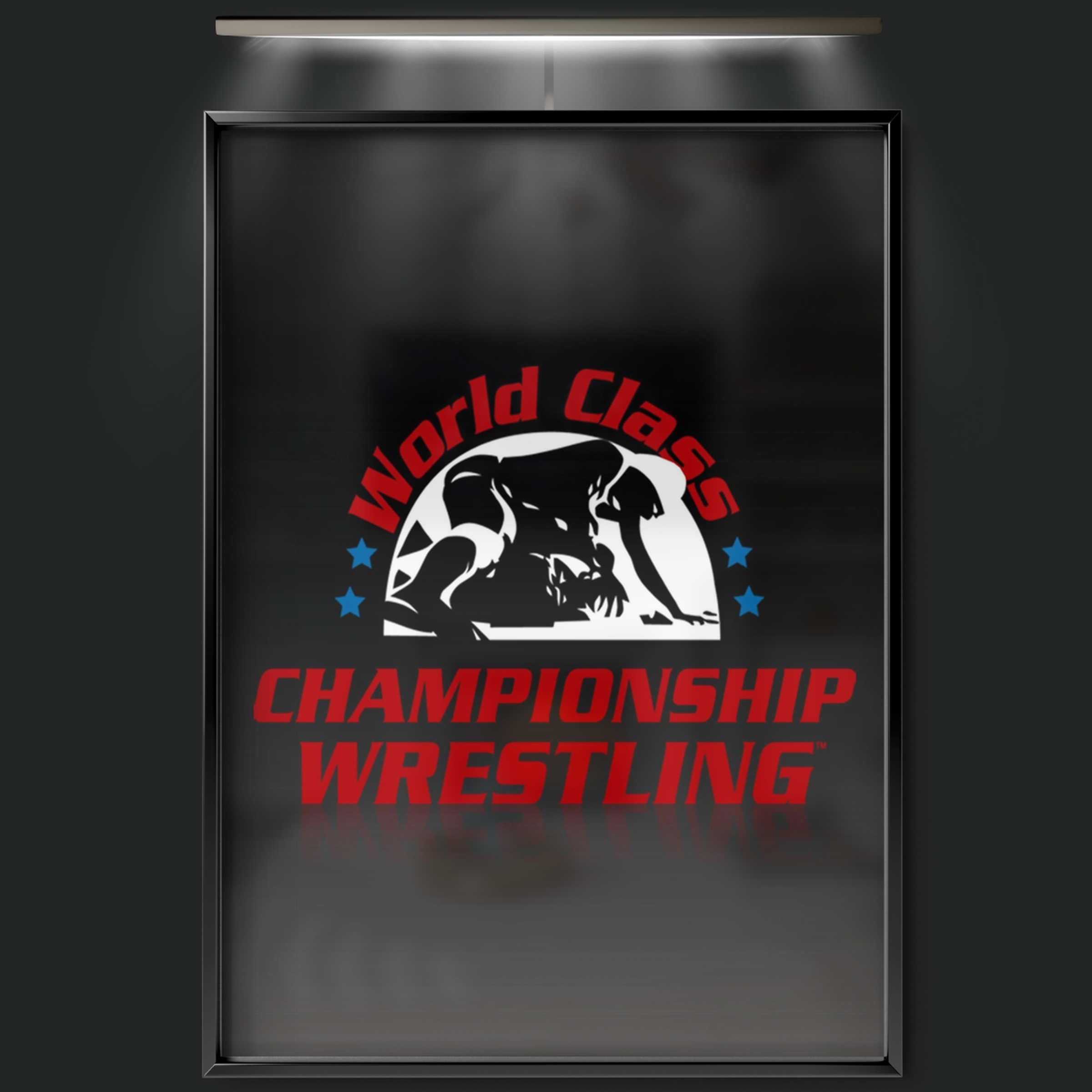 World Class Championship Wrestling (1982)