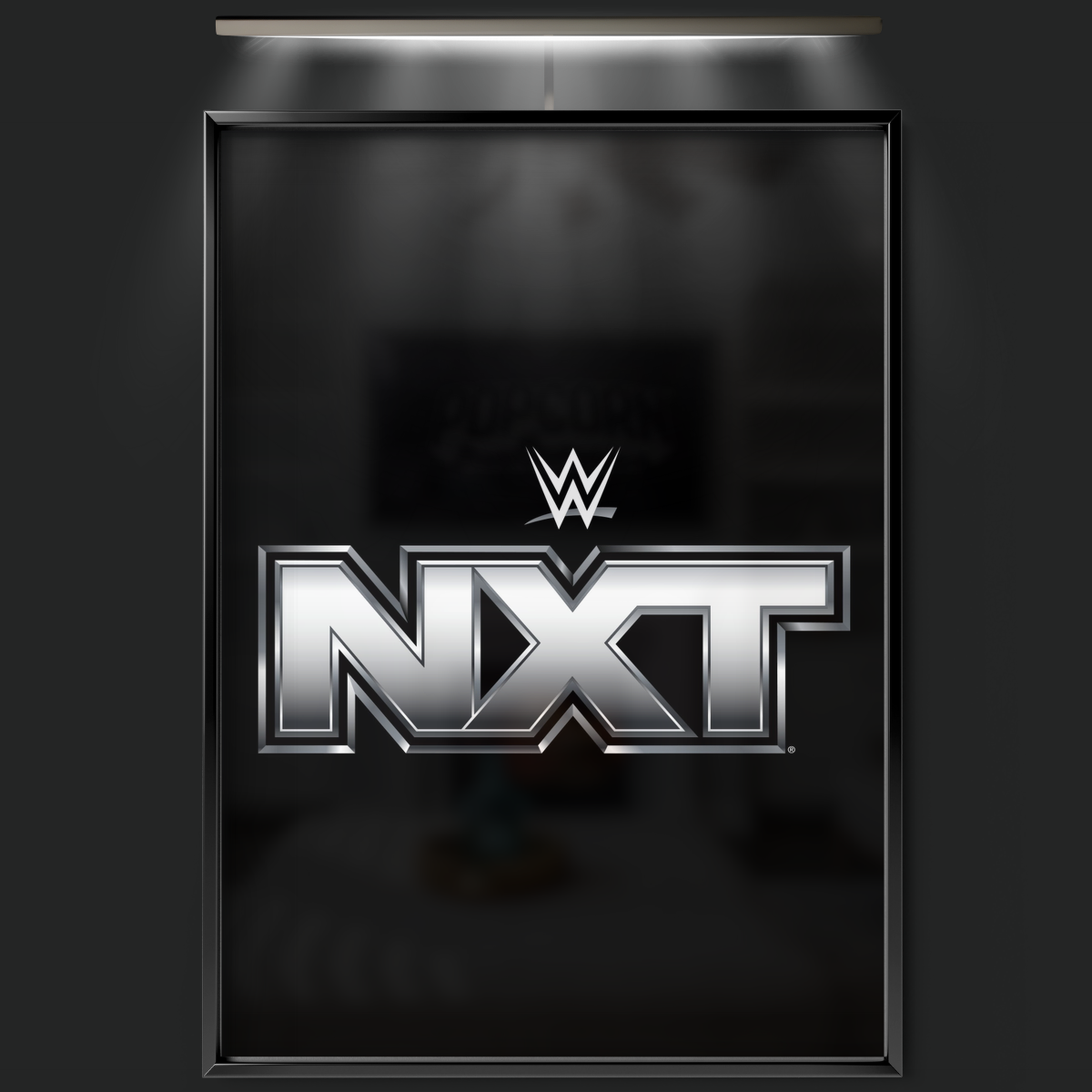 Wwe Nxt (2010)