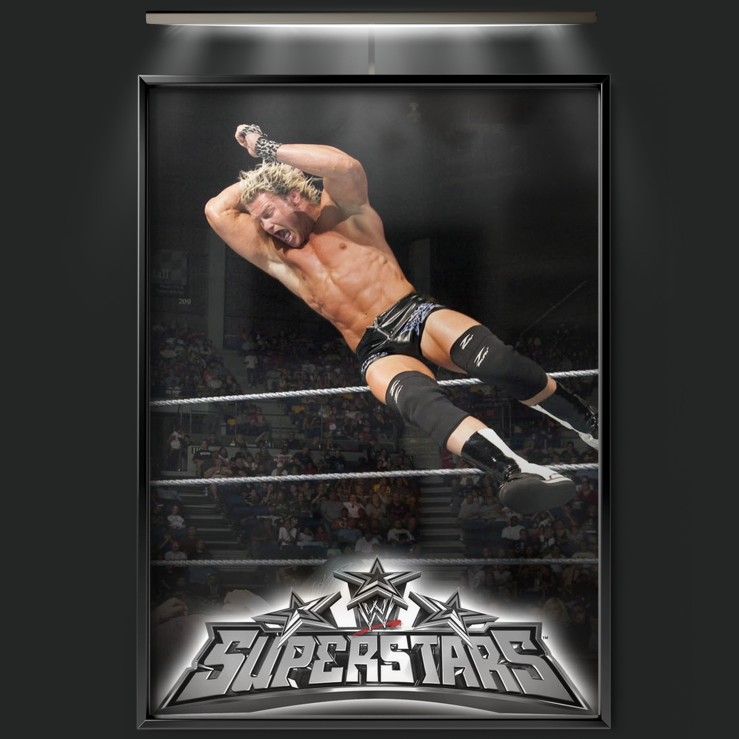 Wwe Superstars (2009)