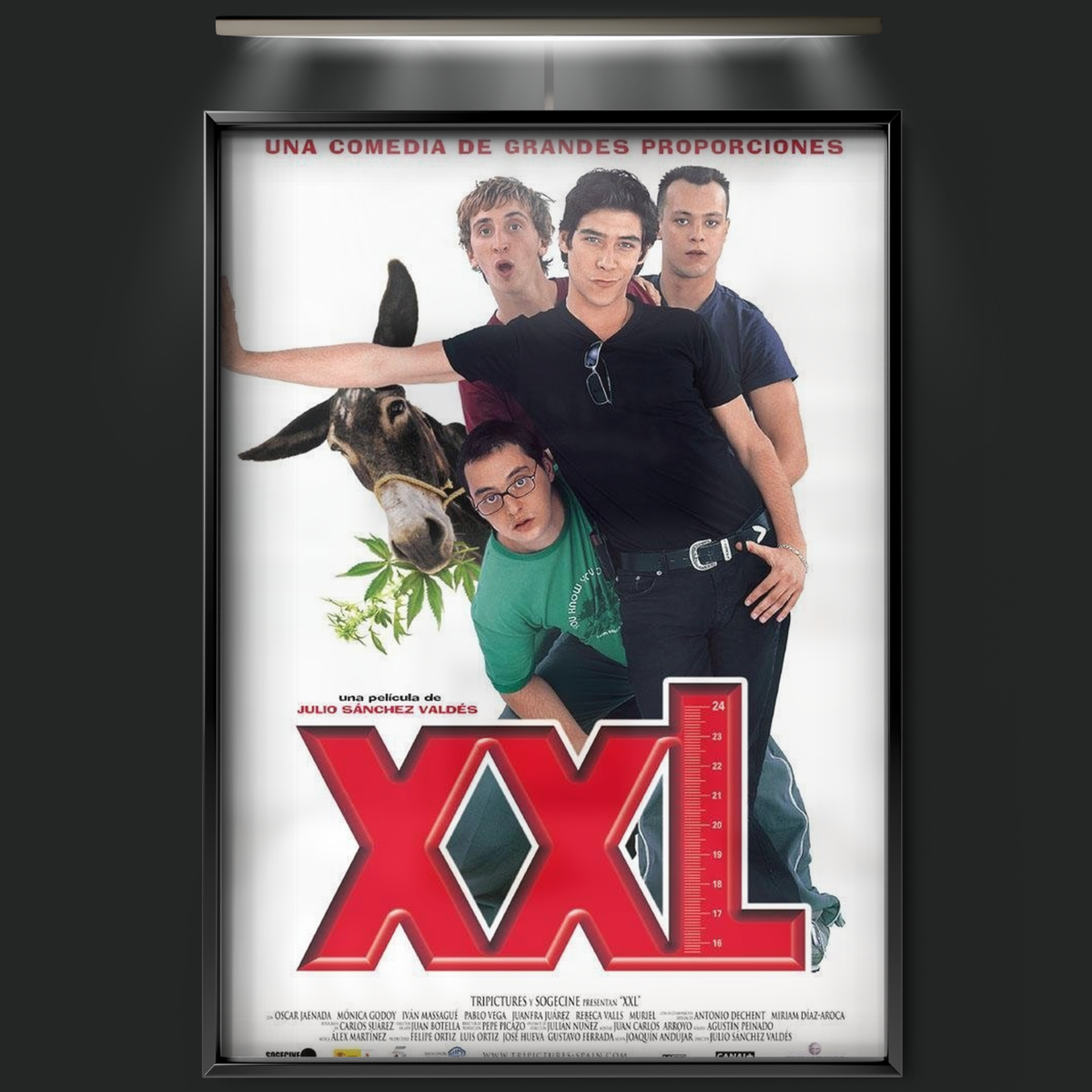 Xxl (2004)